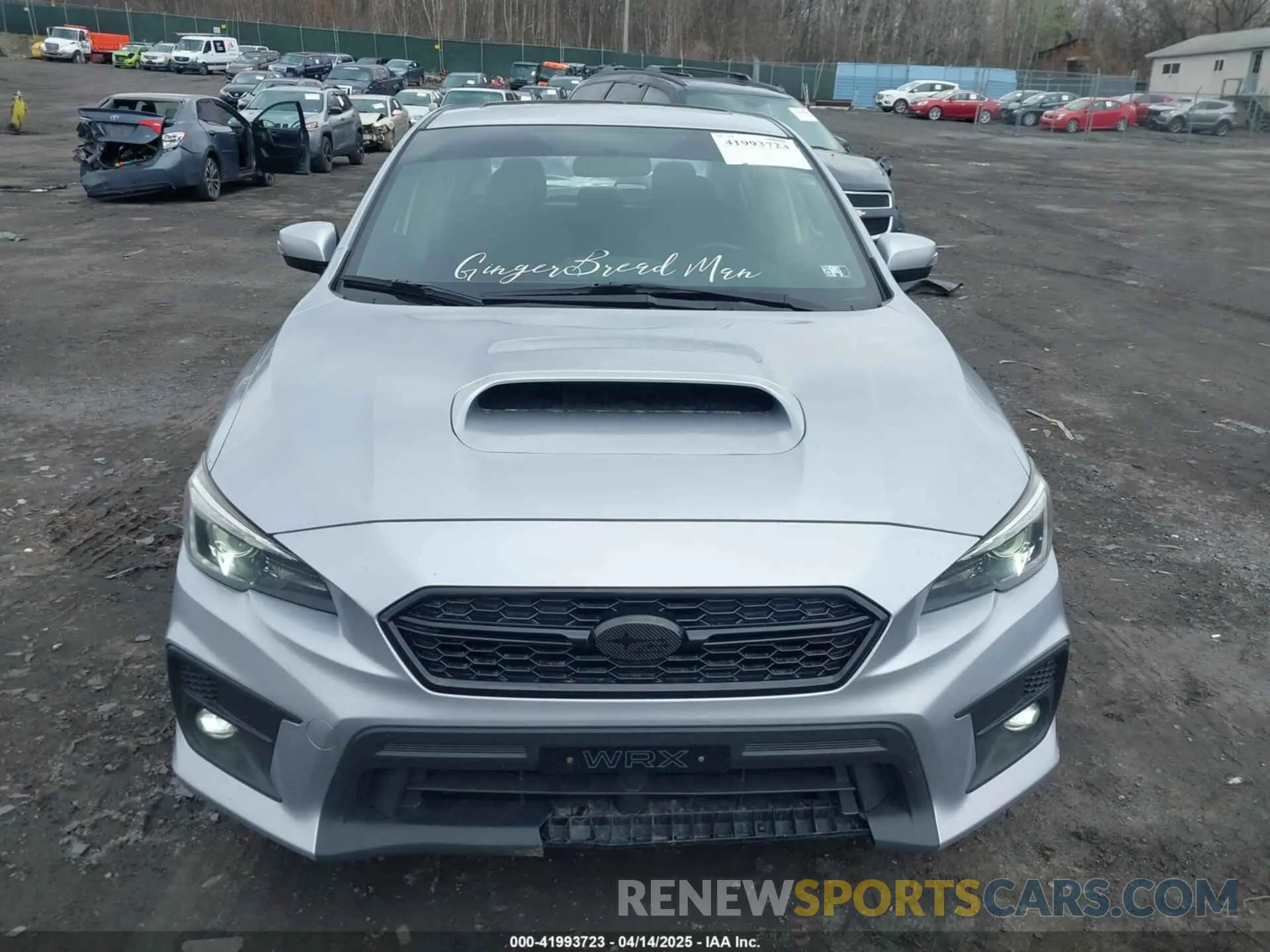 12 Photograph of a damaged car JF1VA1J61K9812729 SUBARU WRX 2019