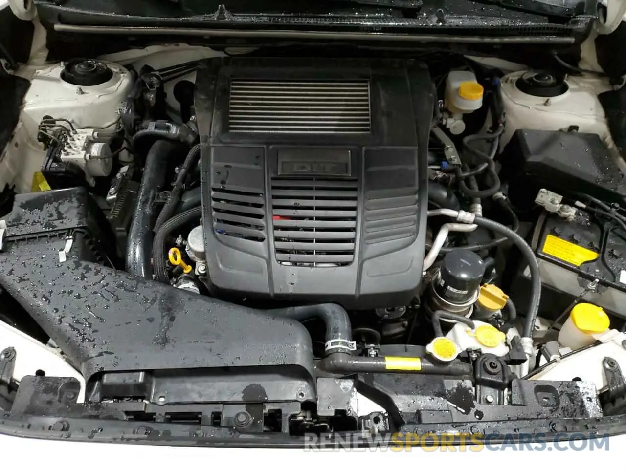 12 Photograph of a damaged car JF1VA1J62K9800072 SUBARU WRX 2019