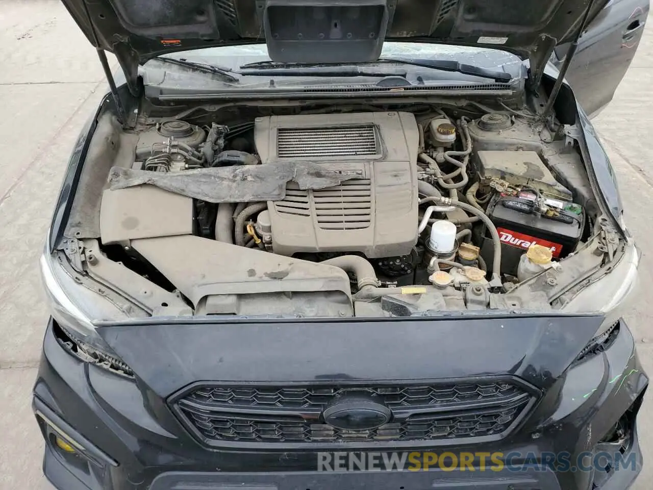 11 Photograph of a damaged car JF1VA1N63K8824879 SUBARU WRX 2019