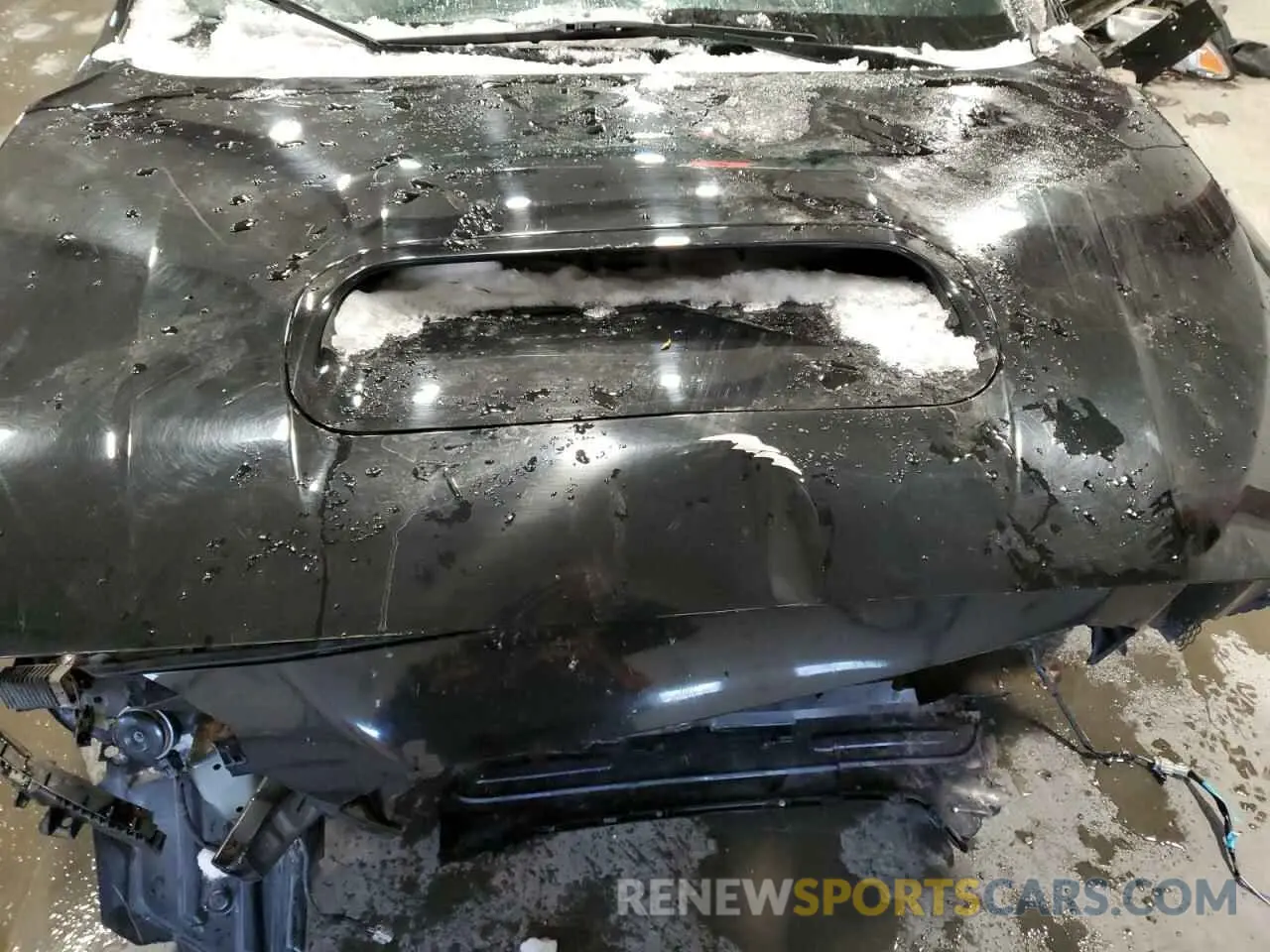 11 Photograph of a damaged car JF1VA1C61M9817736 SUBARU WRX 2021