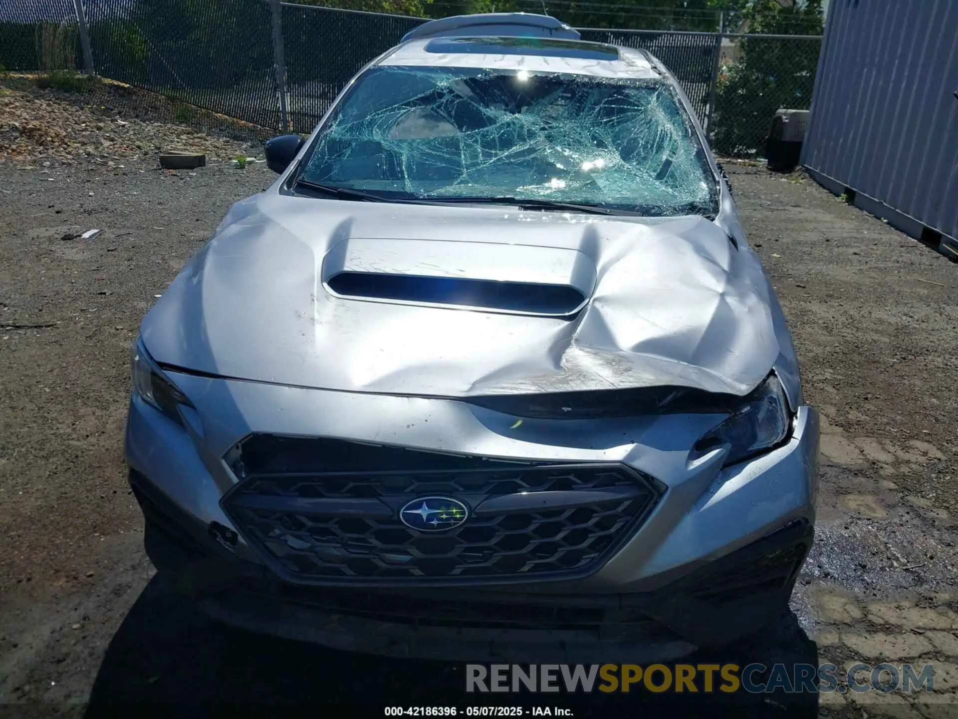 6 Photograph of a damaged car JF1VBAF66N9033305 SUBARU WRX 2022