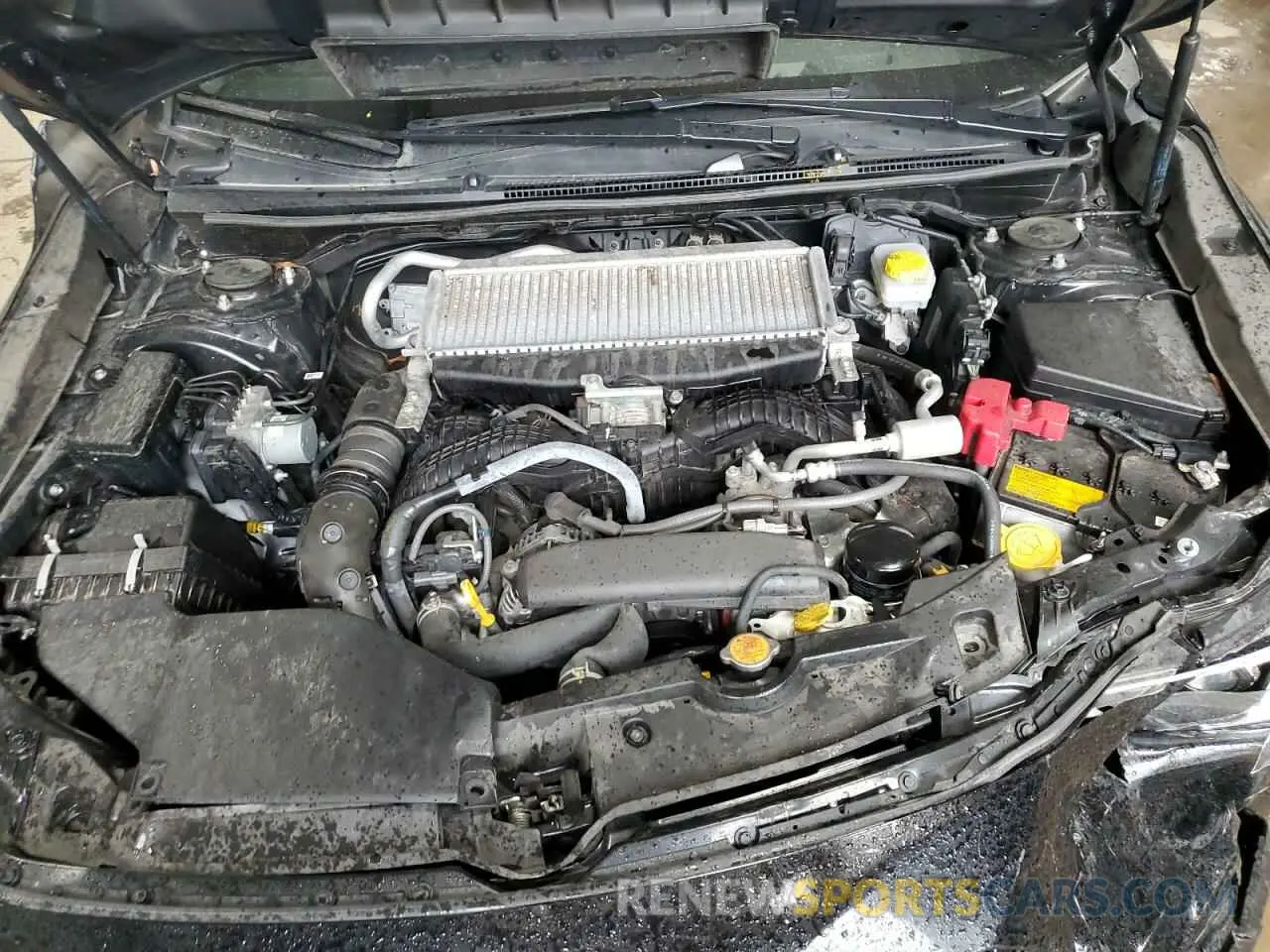11 Photograph of a damaged car JF1VBAN66N8016446 SUBARU WRX 2022