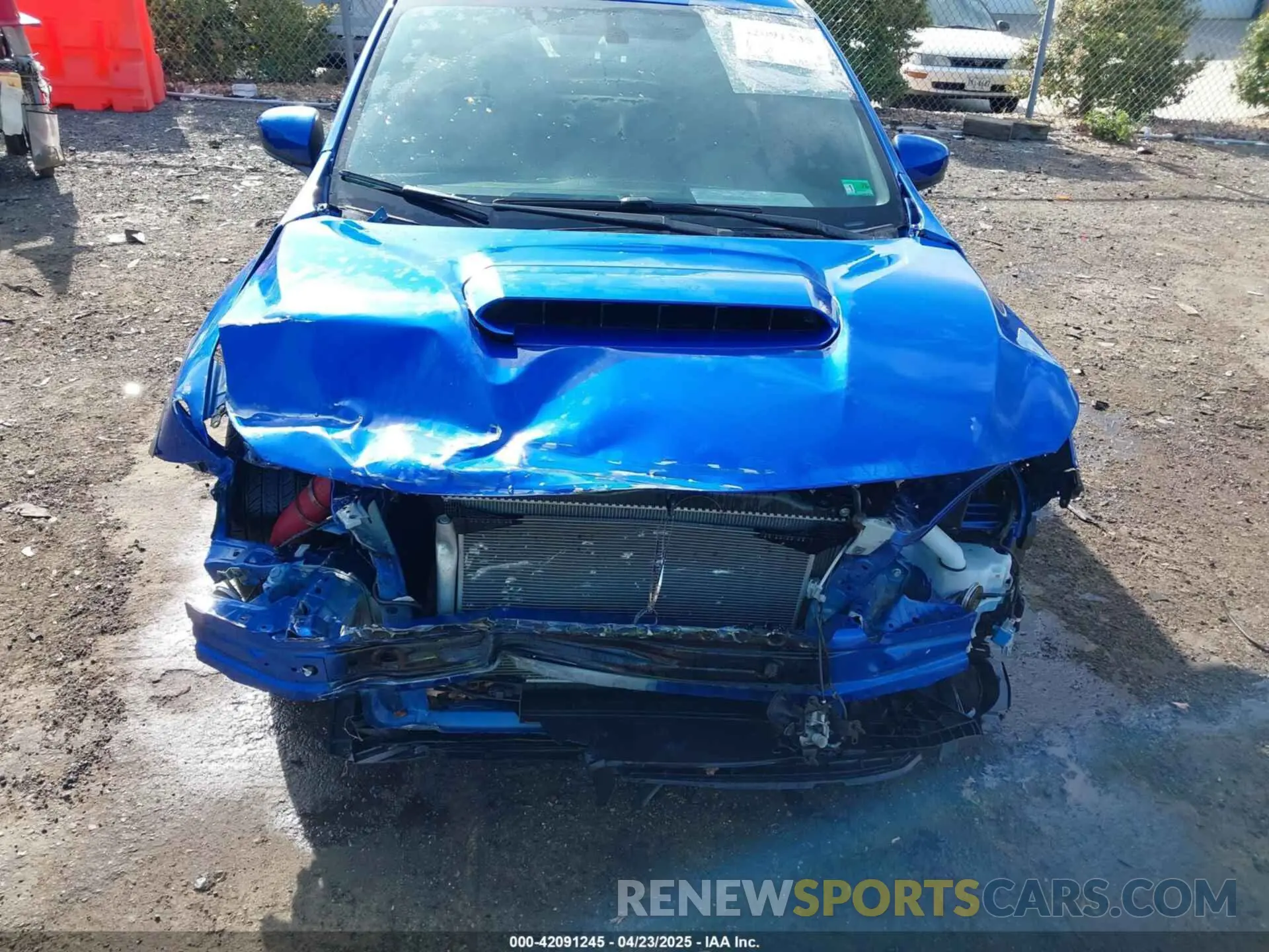 6 Фотография поврежденного автомобиля JF1VBAA61P9821466 SUBARU WRX 2023