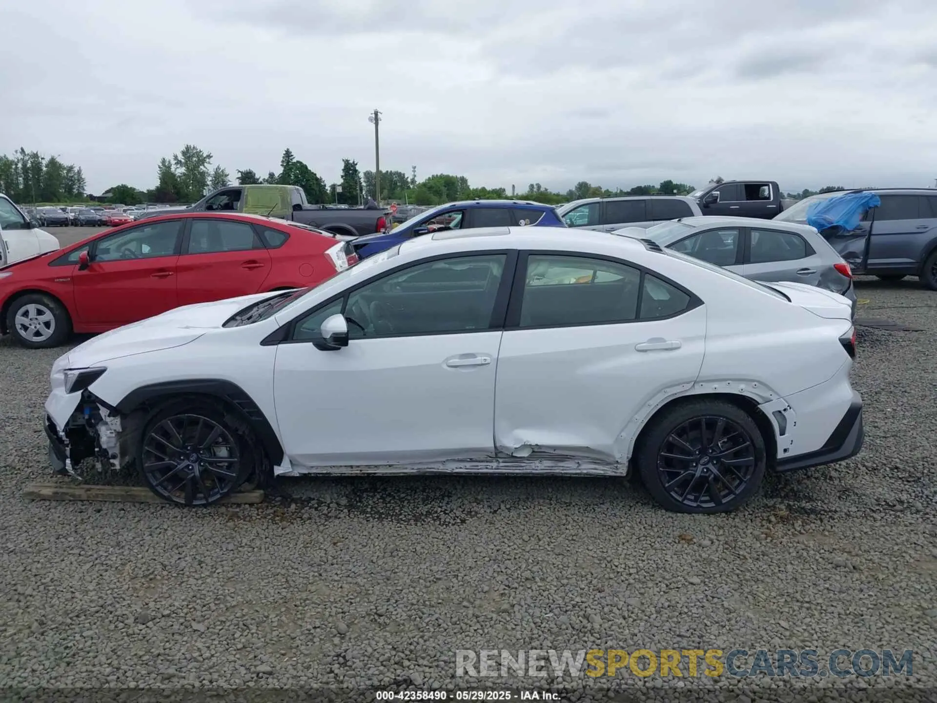 14 Photograph of a damaged car JF1VBAL68P9822787 SUBARU WRX 2023