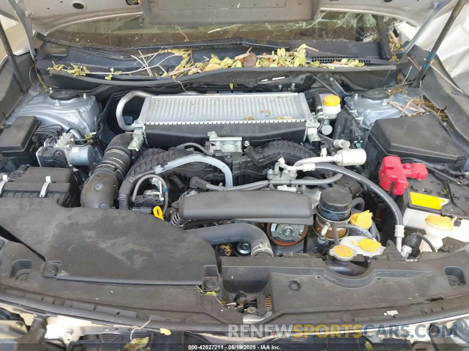 10 Photograph of a damaged car JF1VBAH69R9800017 SUBARU WRX 2024
