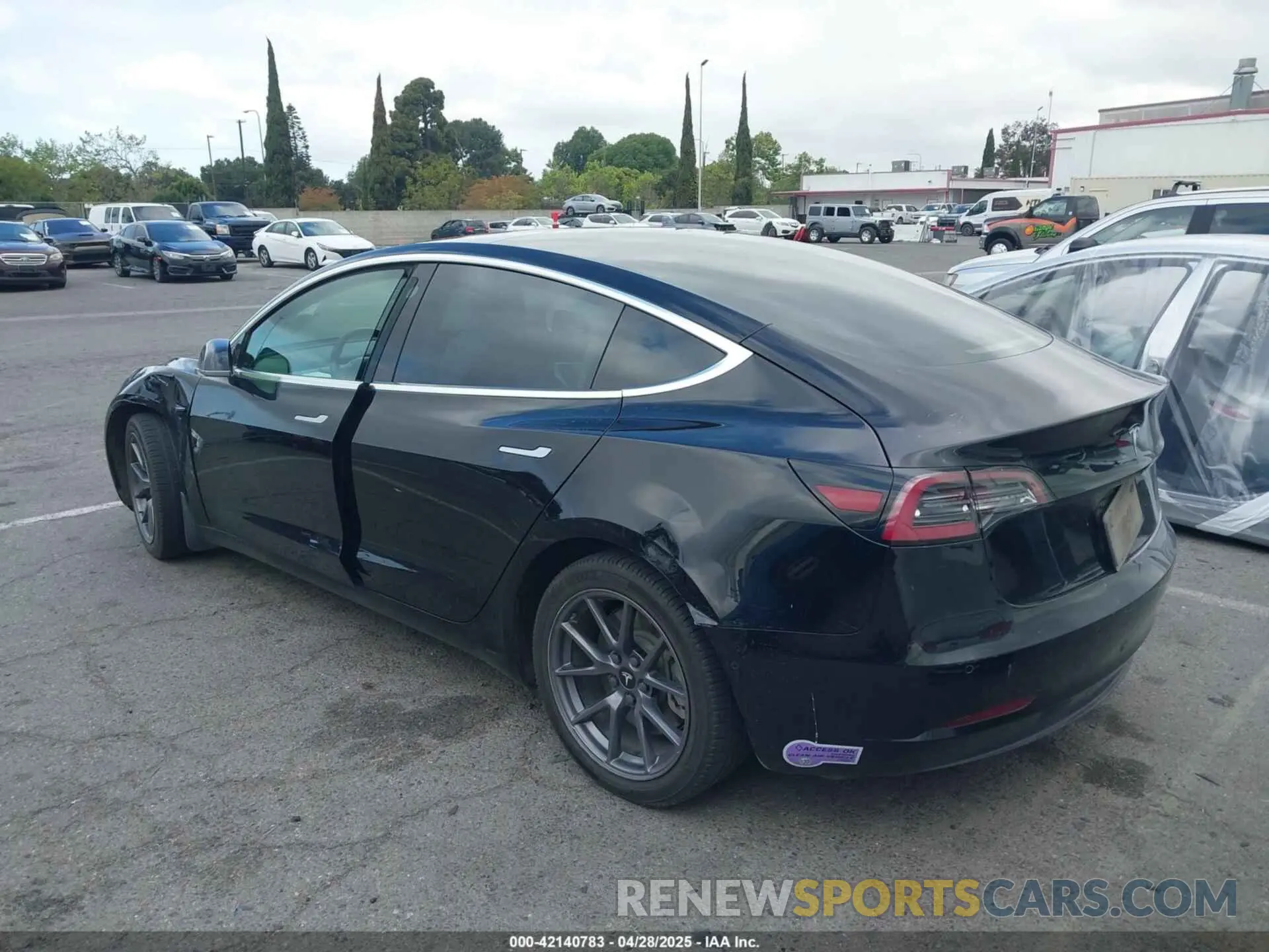 3 Photograph of a damaged car 5YJ3E1EA0KF301779 TESLA MODEL 3 2019