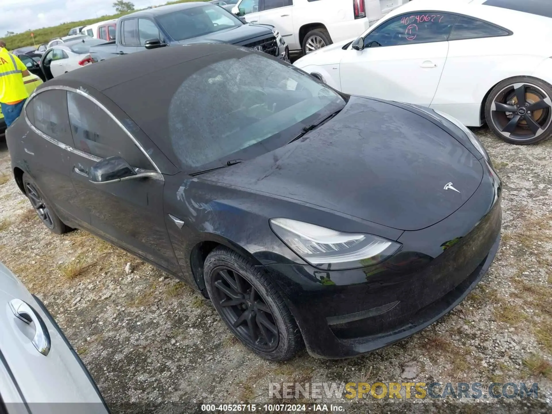 1 Фотография поврежденного автомобиля 5YJ3E1EA0KF306528 TESLA MODEL 3 2019