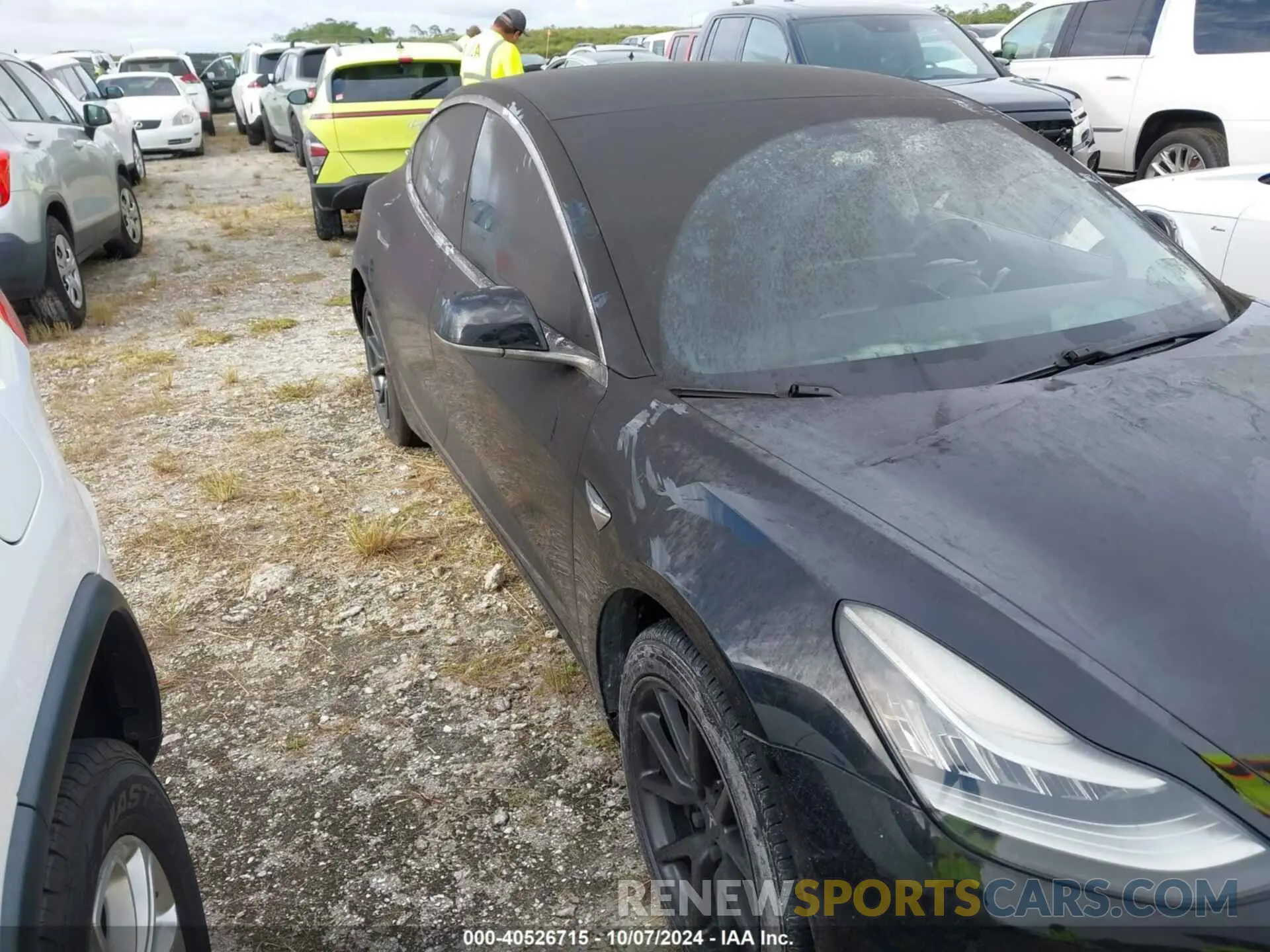 12 Фотография поврежденного автомобиля 5YJ3E1EA0KF306528 TESLA MODEL 3 2019
