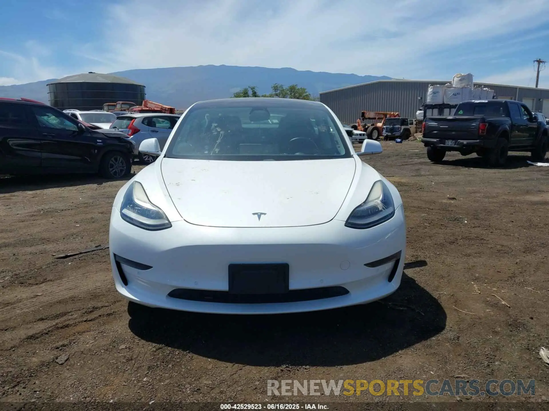 12 Фотография поврежденного автомобиля 5YJ3E1EA3KF401407 TESLA MODEL 3 2019