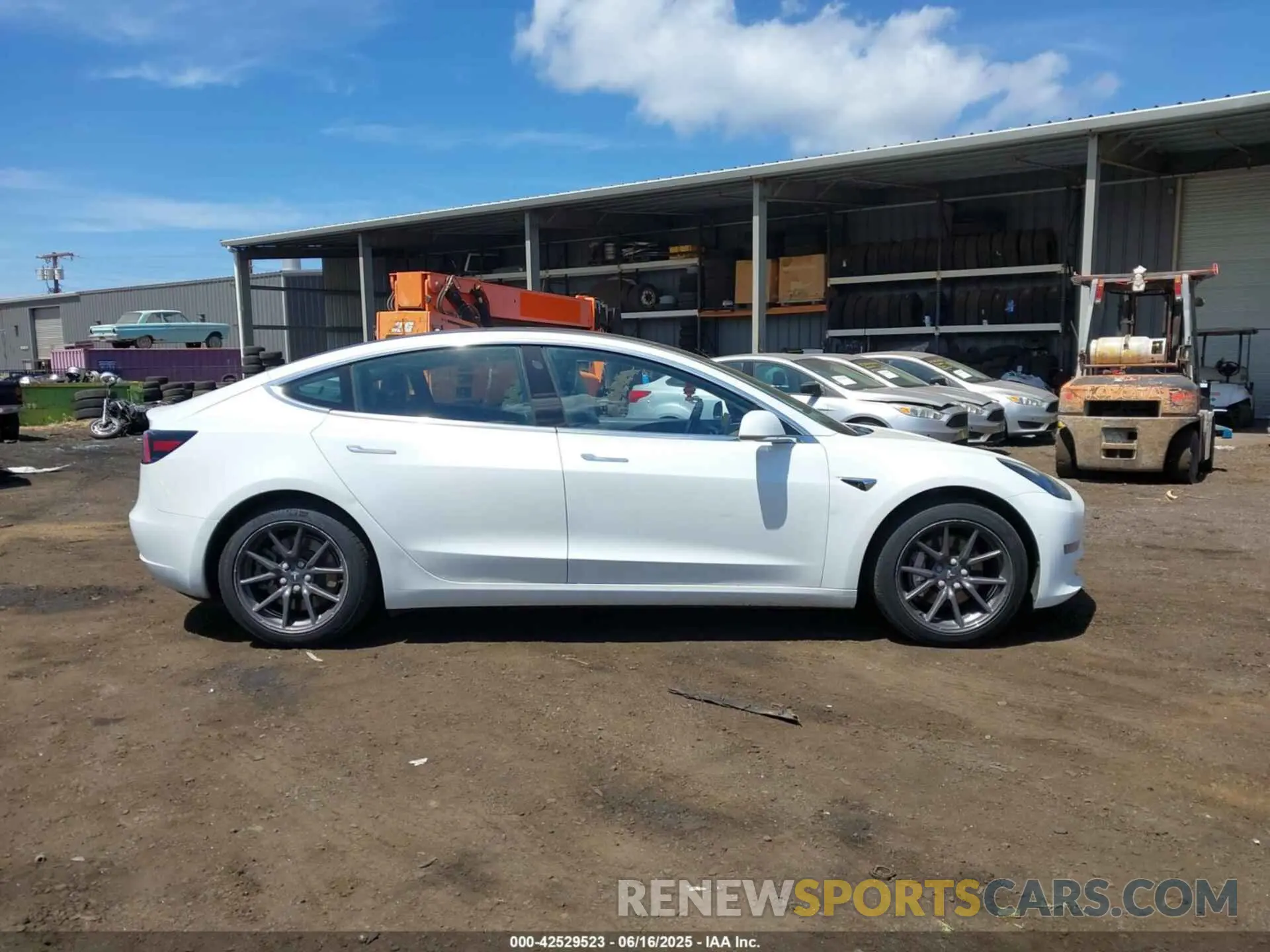 13 Фотография поврежденного автомобиля 5YJ3E1EA3KF401407 TESLA MODEL 3 2019