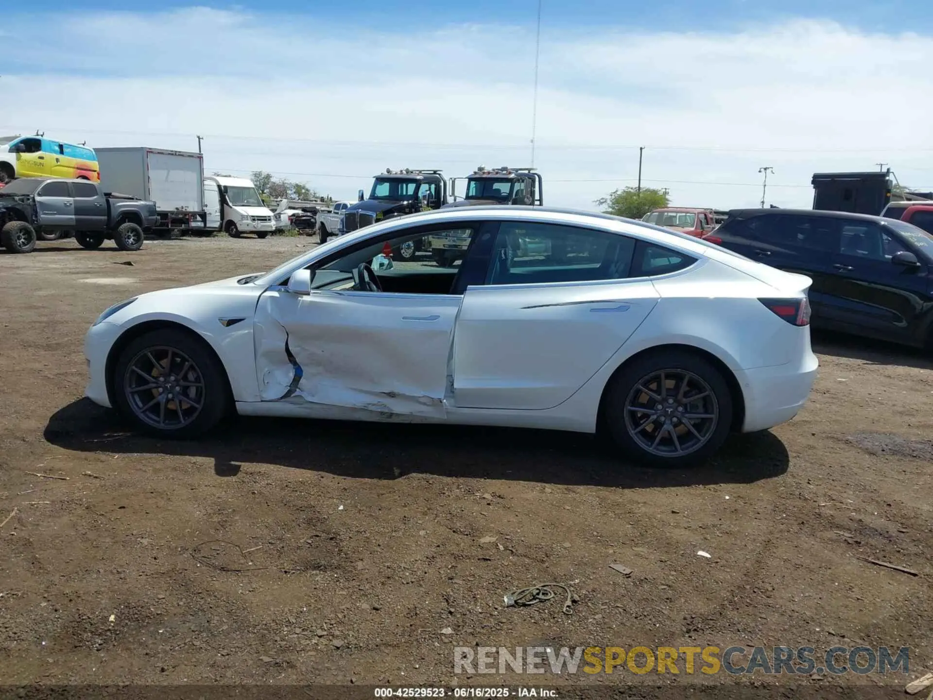 14 Фотография поврежденного автомобиля 5YJ3E1EA3KF401407 TESLA MODEL 3 2019