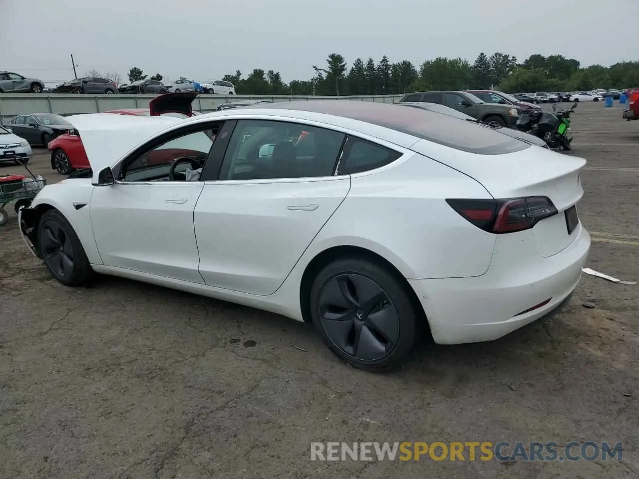 2 Фотография поврежденного автомобиля 5YJ3E1EA4KF300294 TESLA MODEL 3 2019