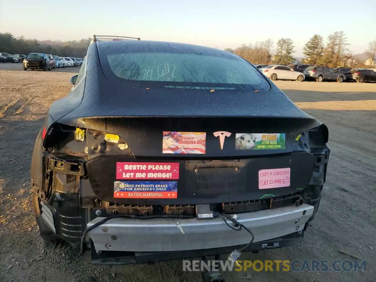 6 Фотография поврежденного автомобиля 5YJ3E1EA5KF396064 TESLA MODEL 3 2019