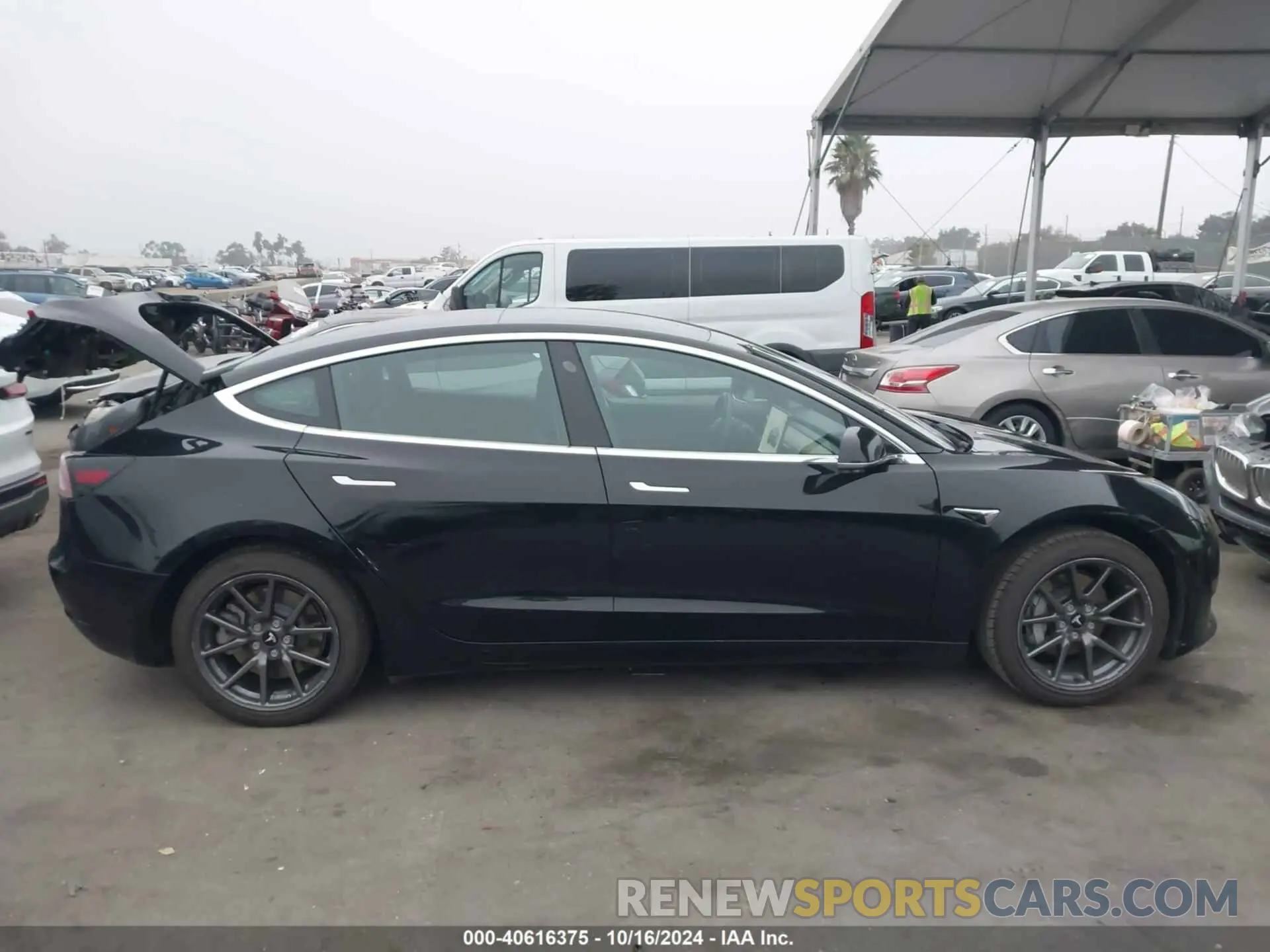 13 Photograph of a damaged car 5YJ3E1EA7KF395482 TESLA MODEL 3 2019
