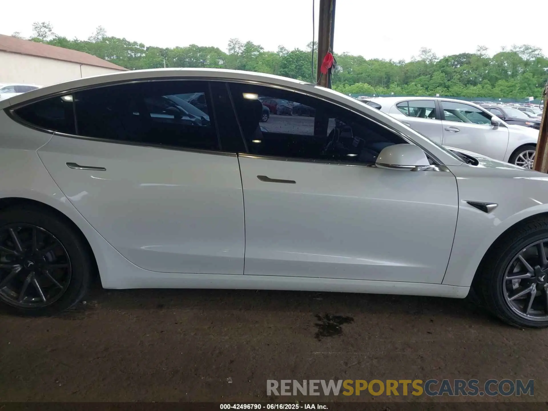 12 Фотография поврежденного автомобиля 5YJ3E1EA9KF300243 TESLA MODEL 3 2019