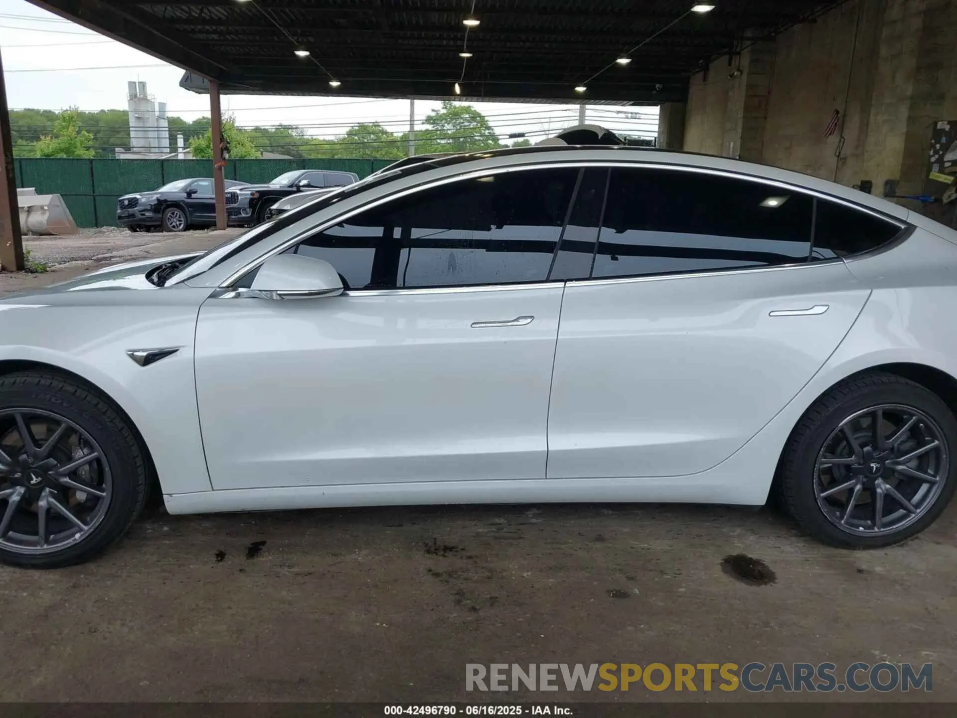 13 Фотография поврежденного автомобиля 5YJ3E1EA9KF300243 TESLA MODEL 3 2019