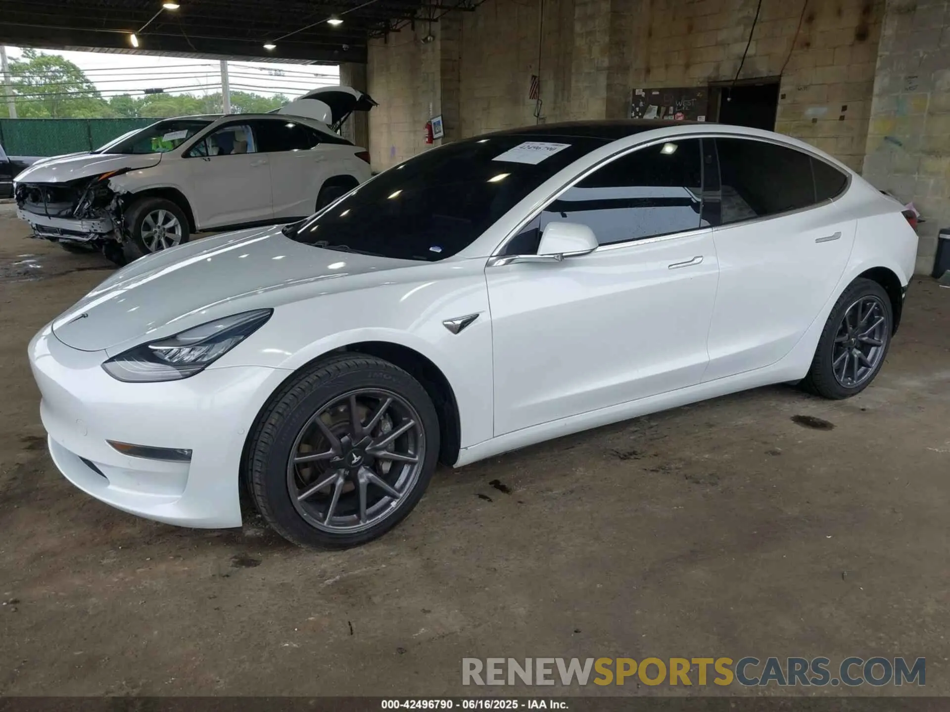2 Фотография поврежденного автомобиля 5YJ3E1EA9KF300243 TESLA MODEL 3 2019