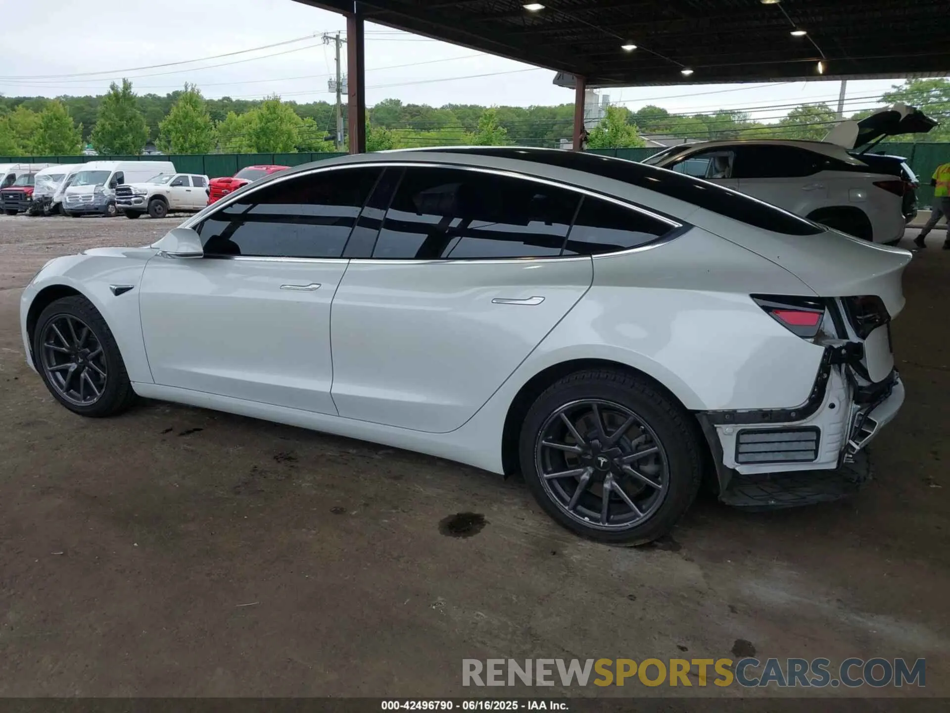 3 Фотография поврежденного автомобиля 5YJ3E1EA9KF300243 TESLA MODEL 3 2019