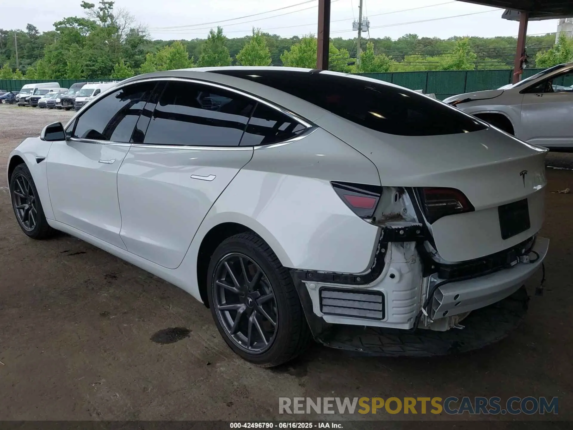 6 Фотография поврежденного автомобиля 5YJ3E1EA9KF300243 TESLA MODEL 3 2019