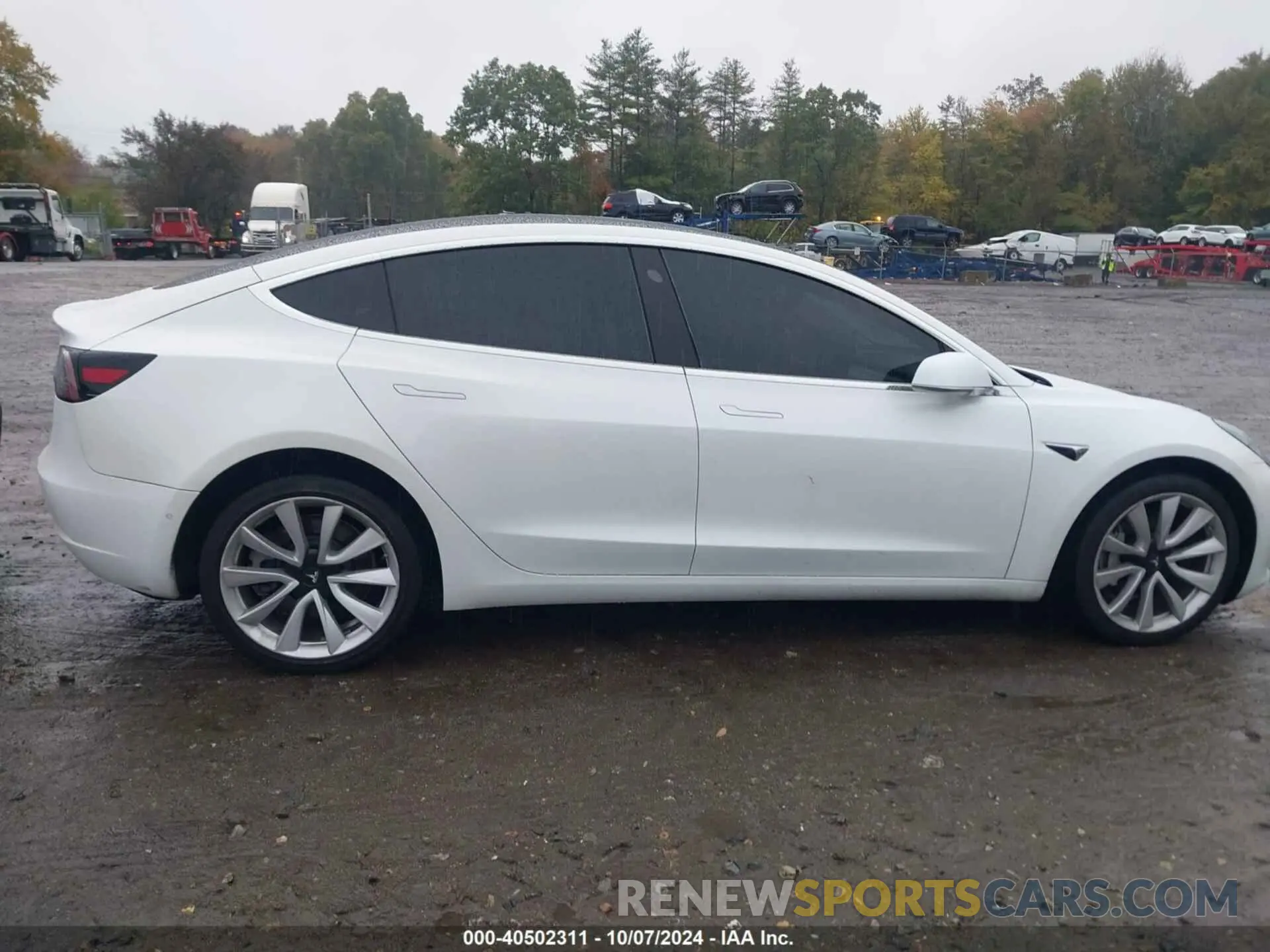 12 Photograph of a damaged car 5YJ3E1EA9KF446660 TESLA MODEL 3 2019
