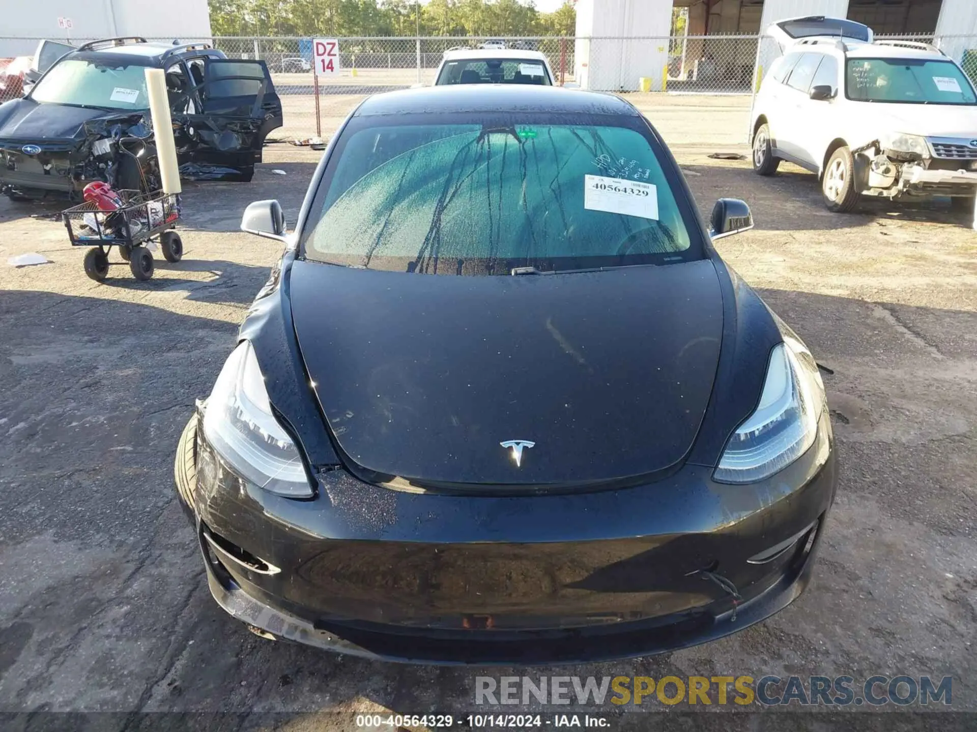 11 Photograph of a damaged car 5YJ3E1EAXKF325409 TESLA MODEL 3 2019