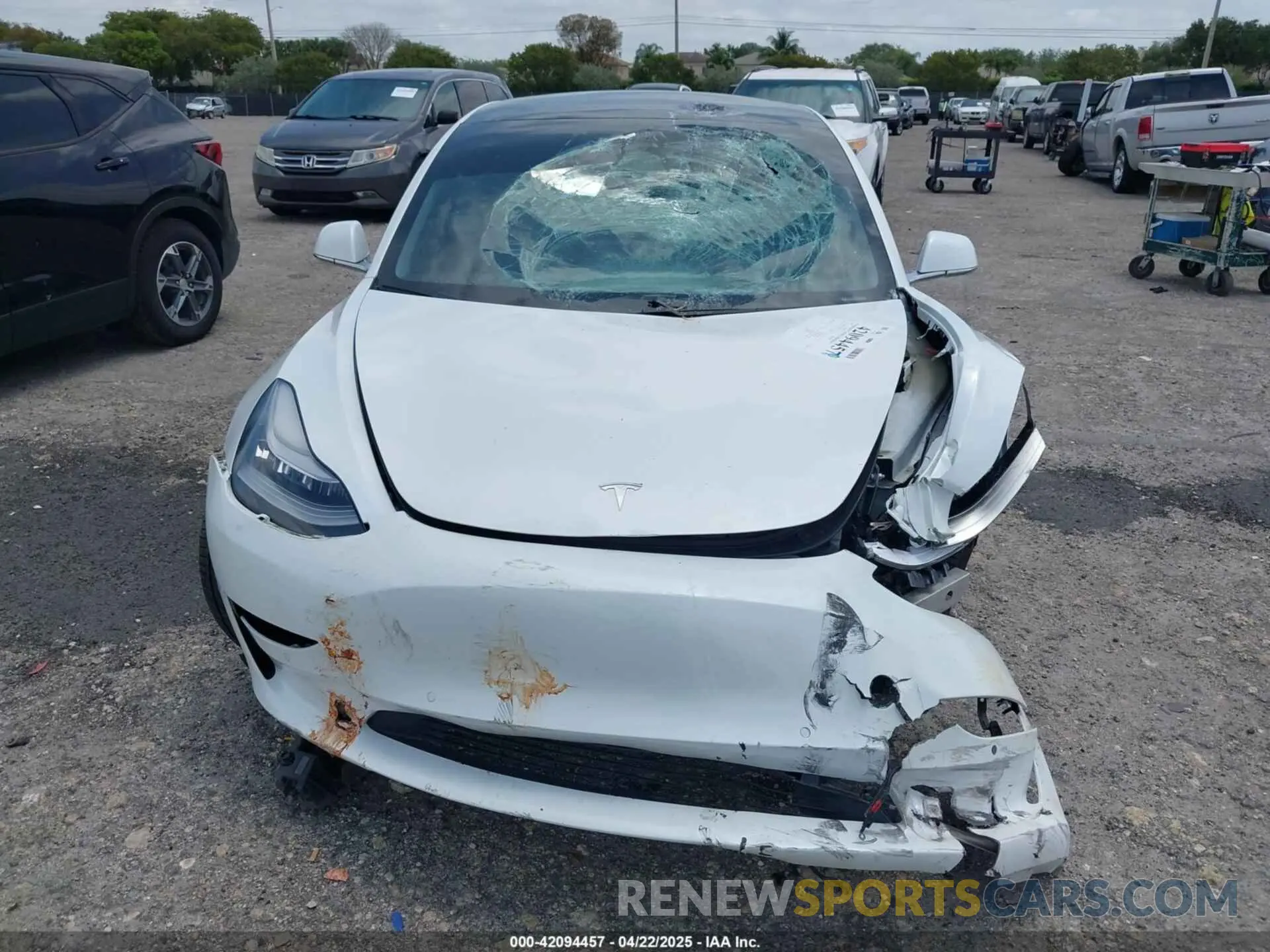 12 Photograph of a damaged car 5YJ3E1EB1KF365760 TESLA MODEL 3 2019