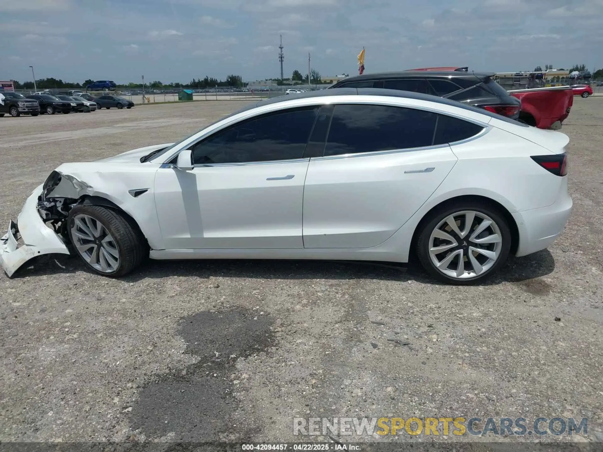 14 Photograph of a damaged car 5YJ3E1EB1KF365760 TESLA MODEL 3 2019