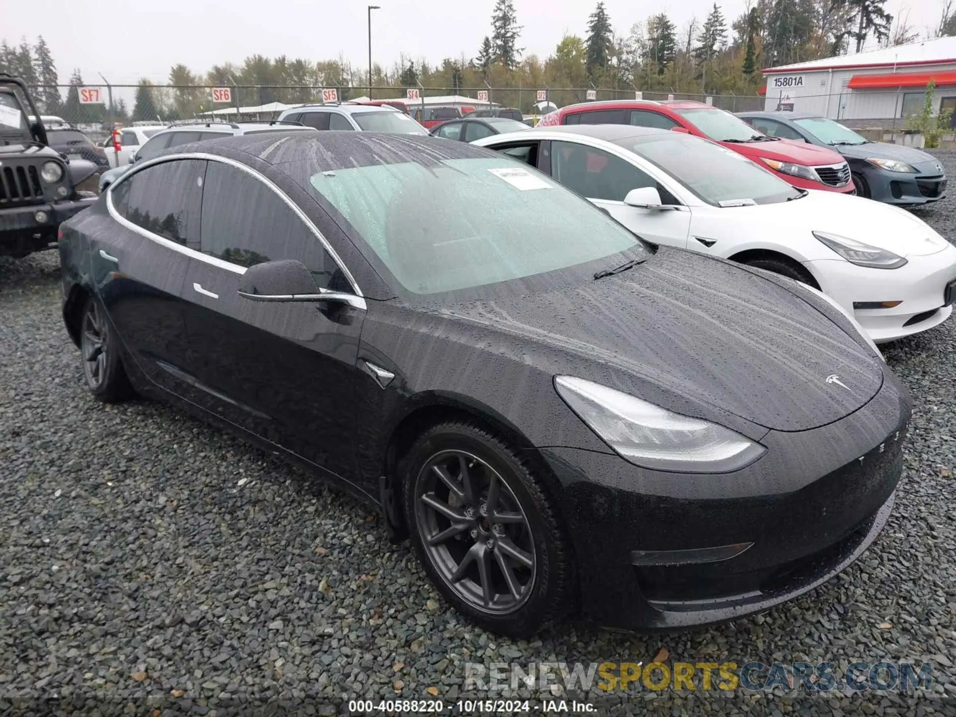13 Photograph of a damaged car 5YJ3E1EB1KF385779 TESLA MODEL 3 2019