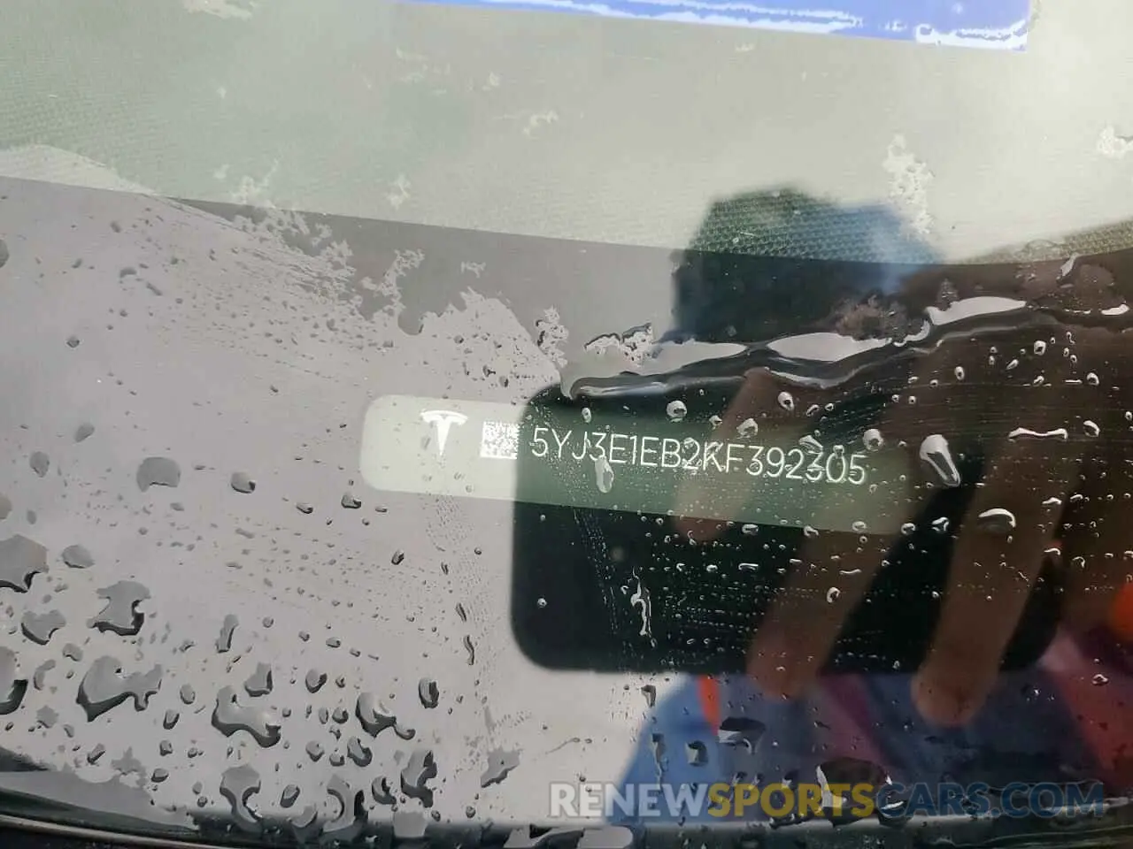 12 Фотография поврежденного автомобиля 5YJ3E1EB2KF392305 TESLA MODEL 3 2019