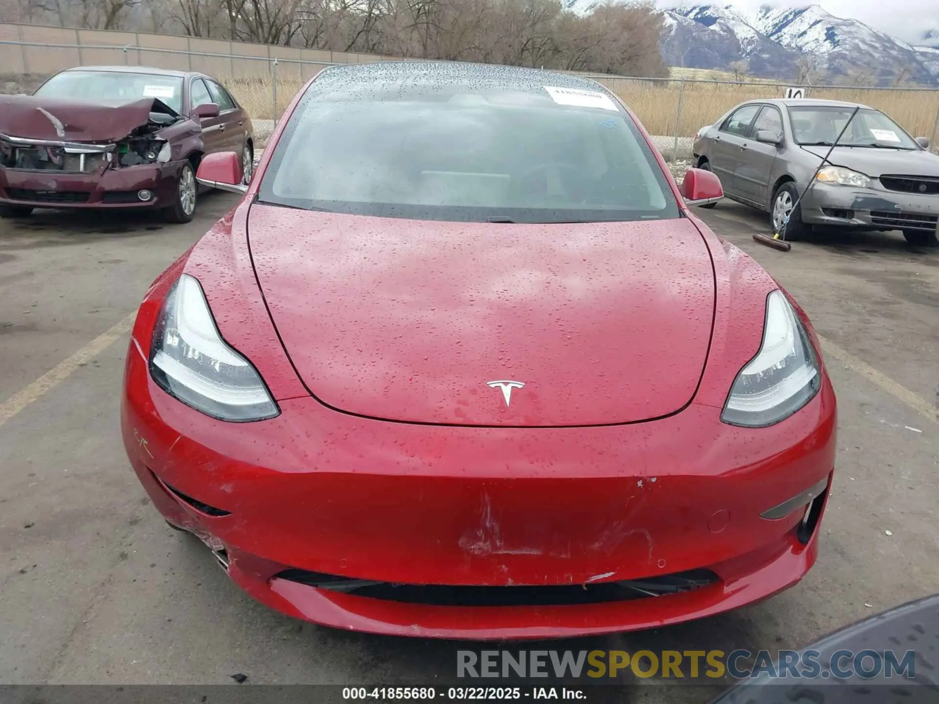 12 Фотография поврежденного автомобиля 5YJ3E1EB2KF452406 TESLA MODEL 3 2019