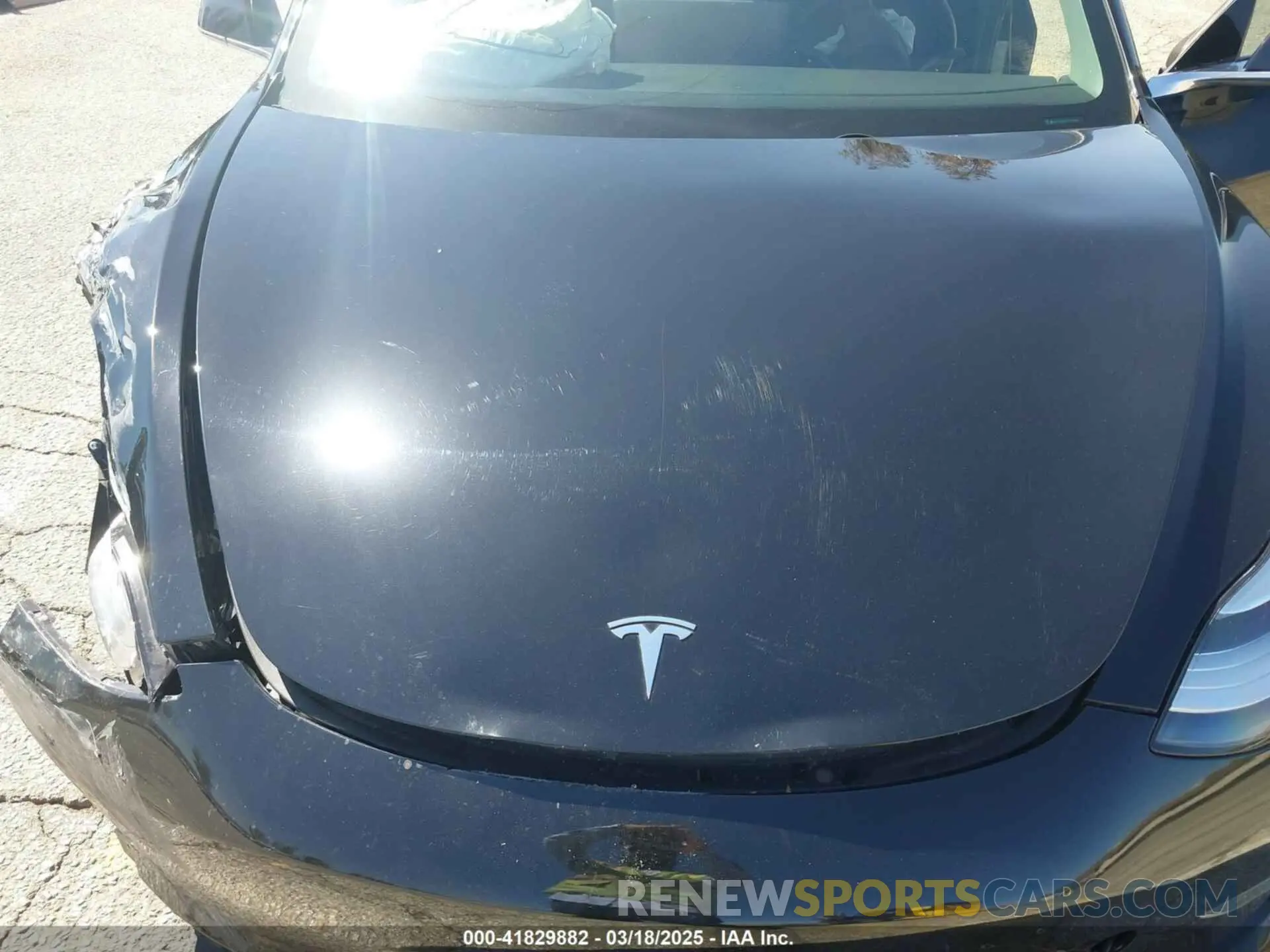10 Photograph of a damaged car 5YJ3E1EB3KF384598 TESLA MODEL 3 2019