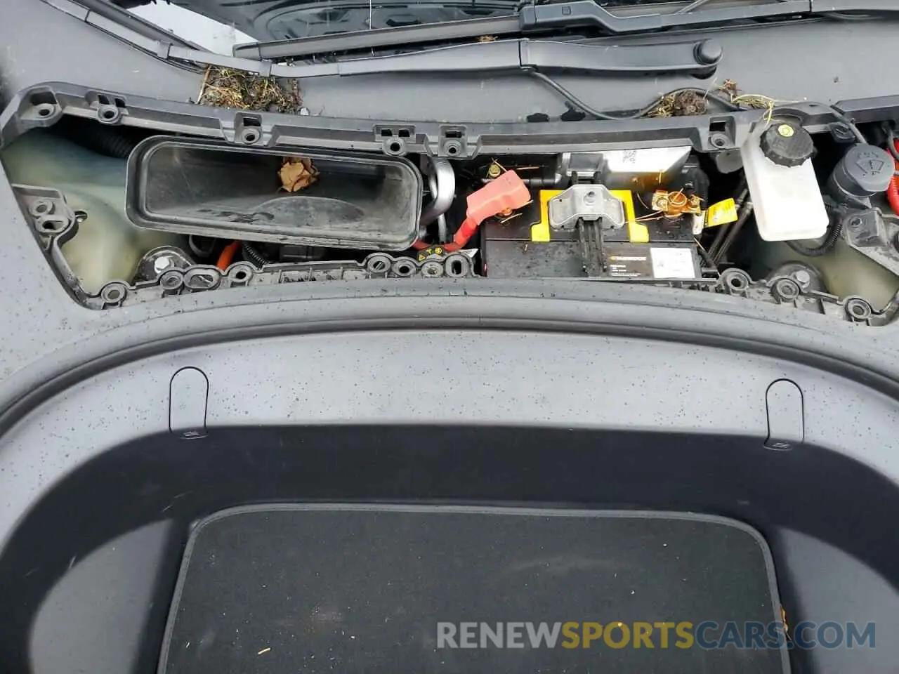 11 Photograph of a damaged car 5YJ3E1EB3KF392006 TESLA MODEL 3 2019