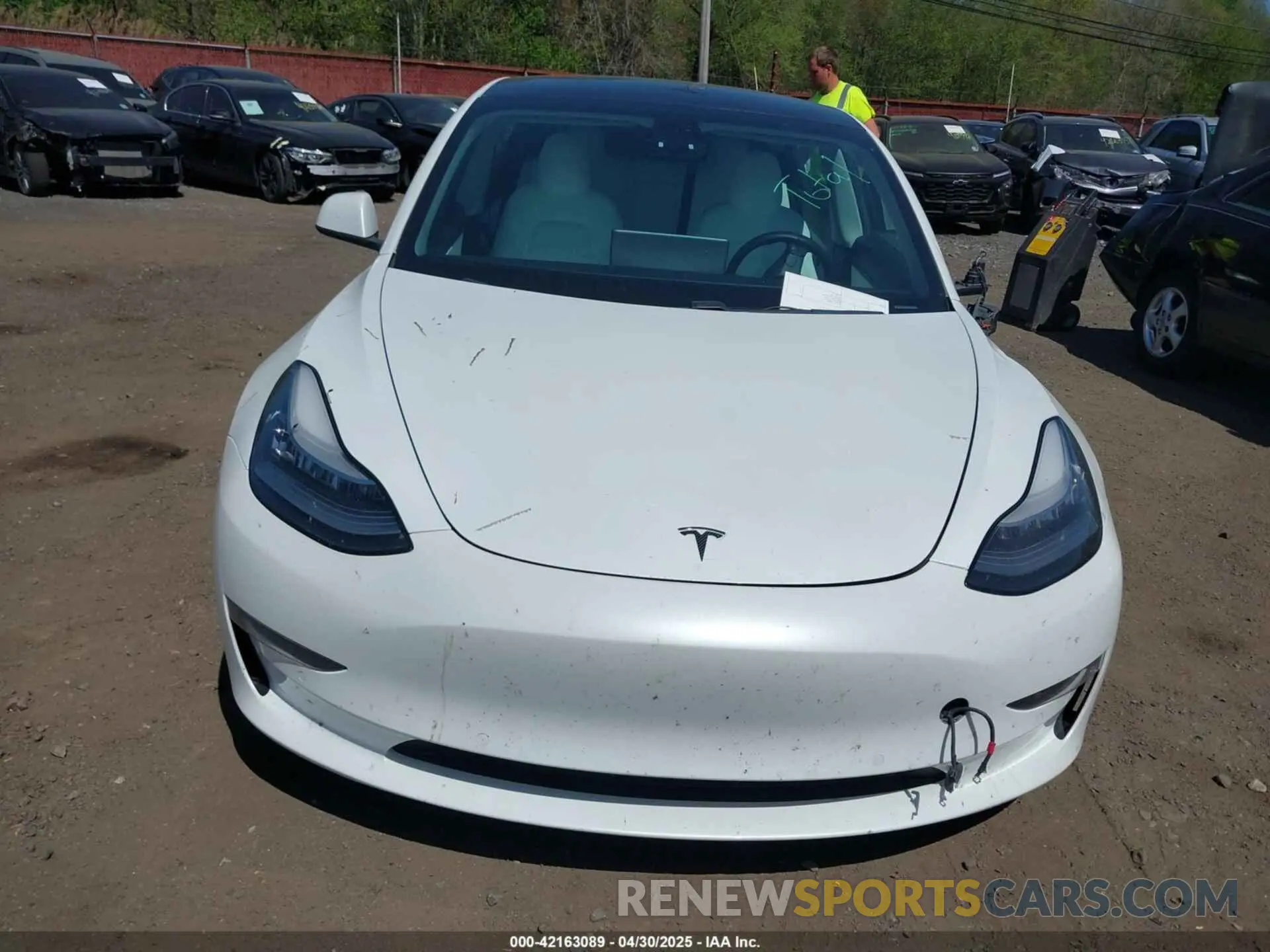 12 Photograph of a damaged car 5YJ3E1EB3KF450602 TESLA MODEL 3 2019