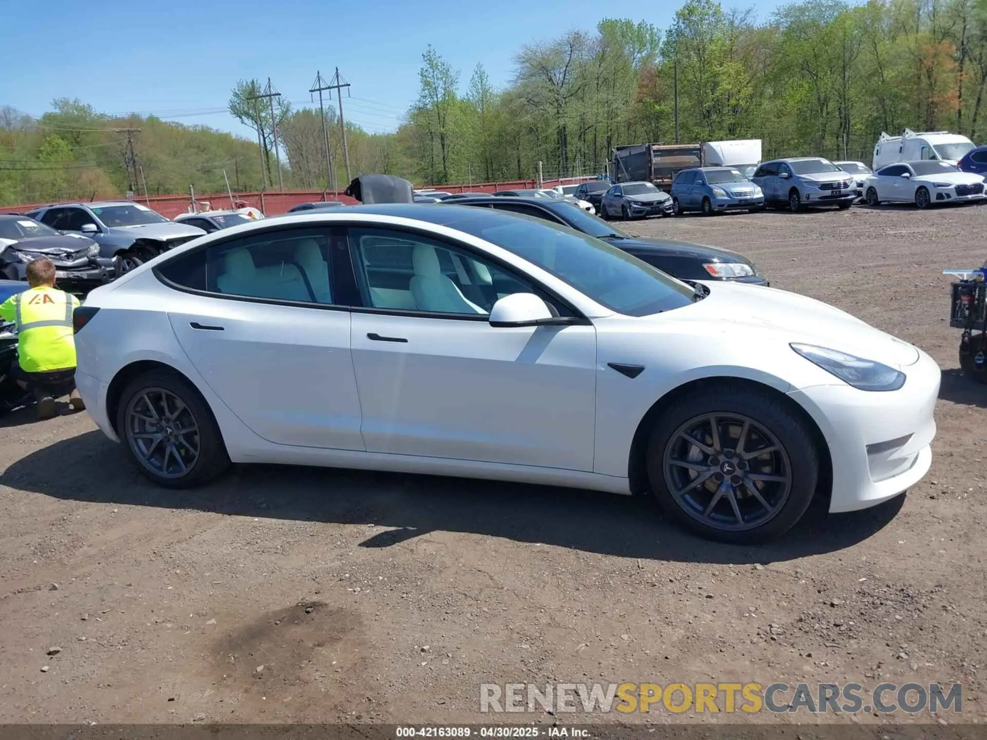13 Photograph of a damaged car 5YJ3E1EB3KF450602 TESLA MODEL 3 2019