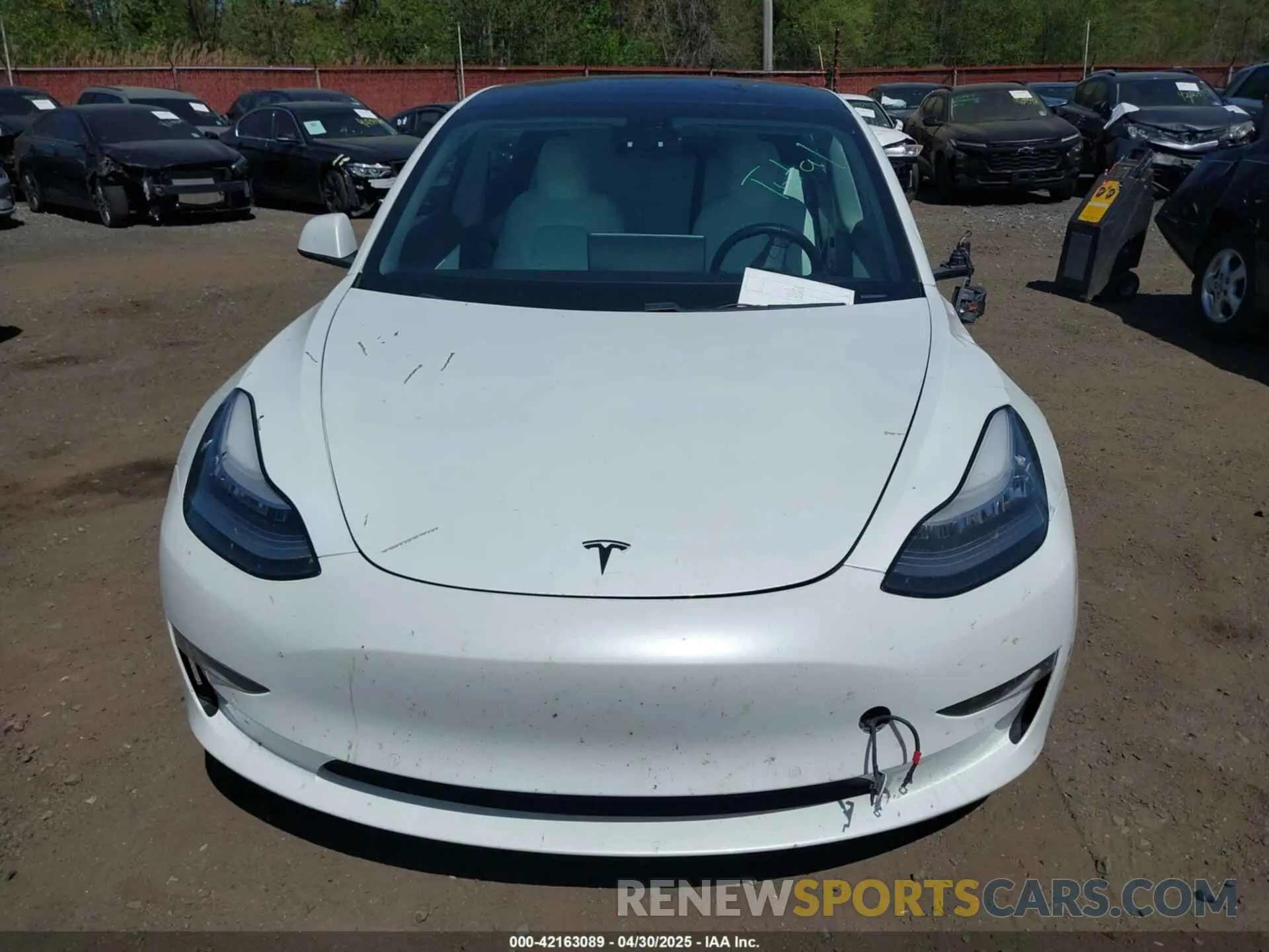 19 Photograph of a damaged car 5YJ3E1EB3KF450602 TESLA MODEL 3 2019