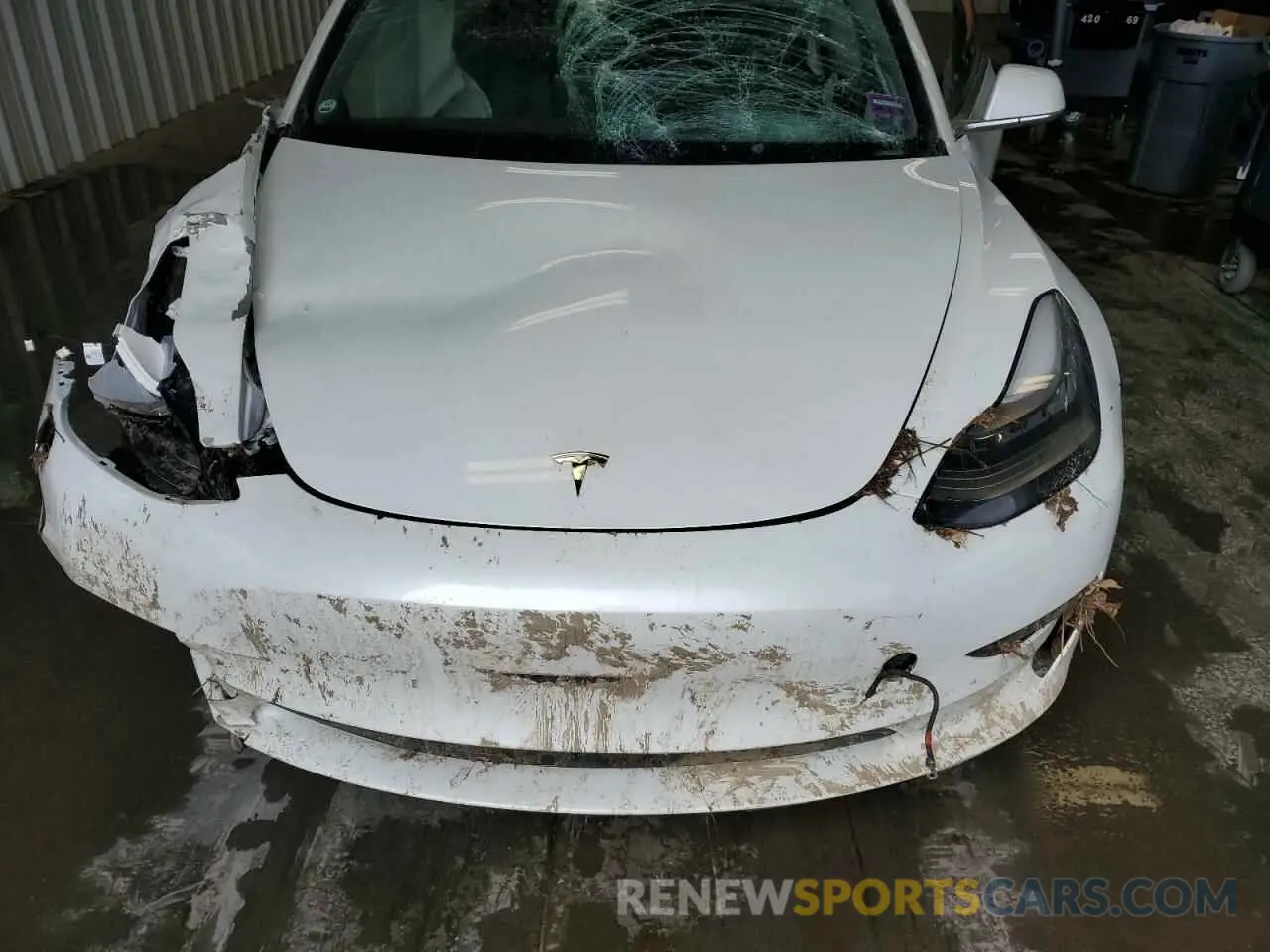 12 Photograph of a damaged car 5YJ3E1EB3KF494292 TESLA MODEL 3 2019