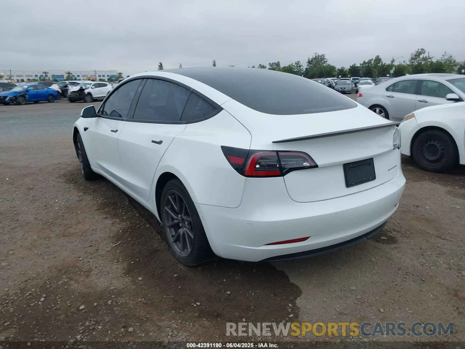 3 Photograph of a damaged car 5YJ3E1EB4KF359595 TESLA MODEL 3 2019
