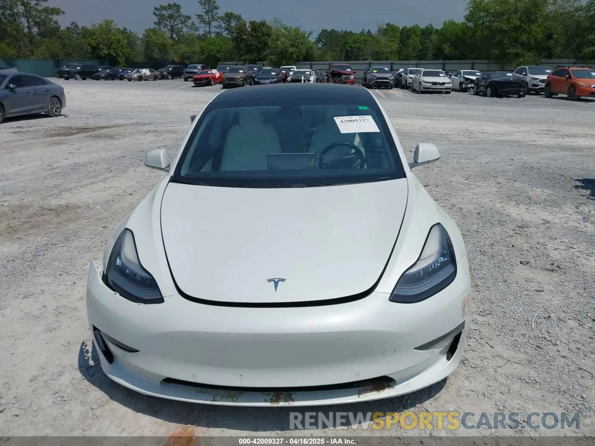12 Фотография поврежденного автомобиля 5YJ3E1EB4KF494432 TESLA MODEL 3 2019