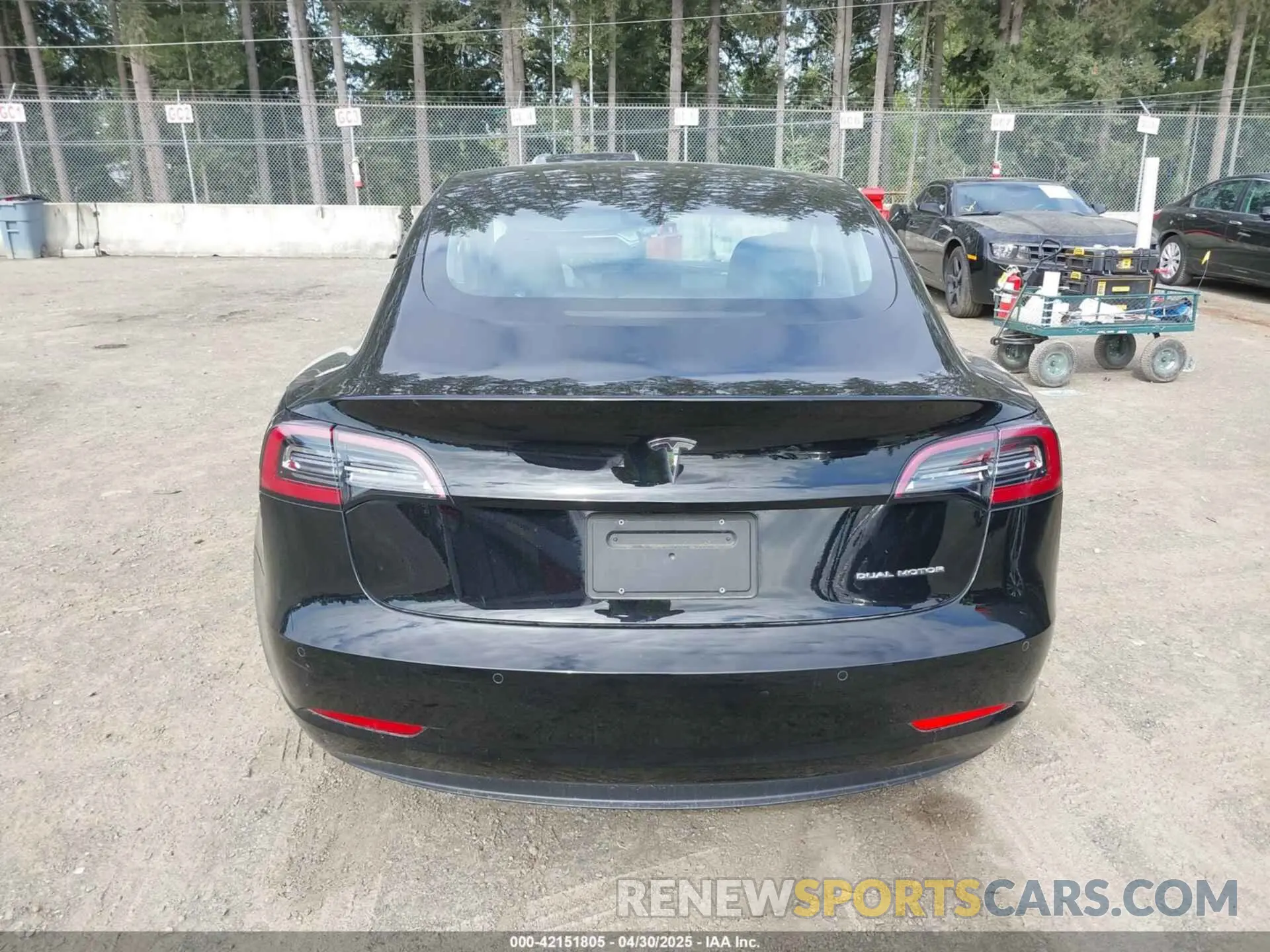 16 Фотография поврежденного автомобиля 5YJ3E1EB7KF191872 TESLA MODEL 3 2019