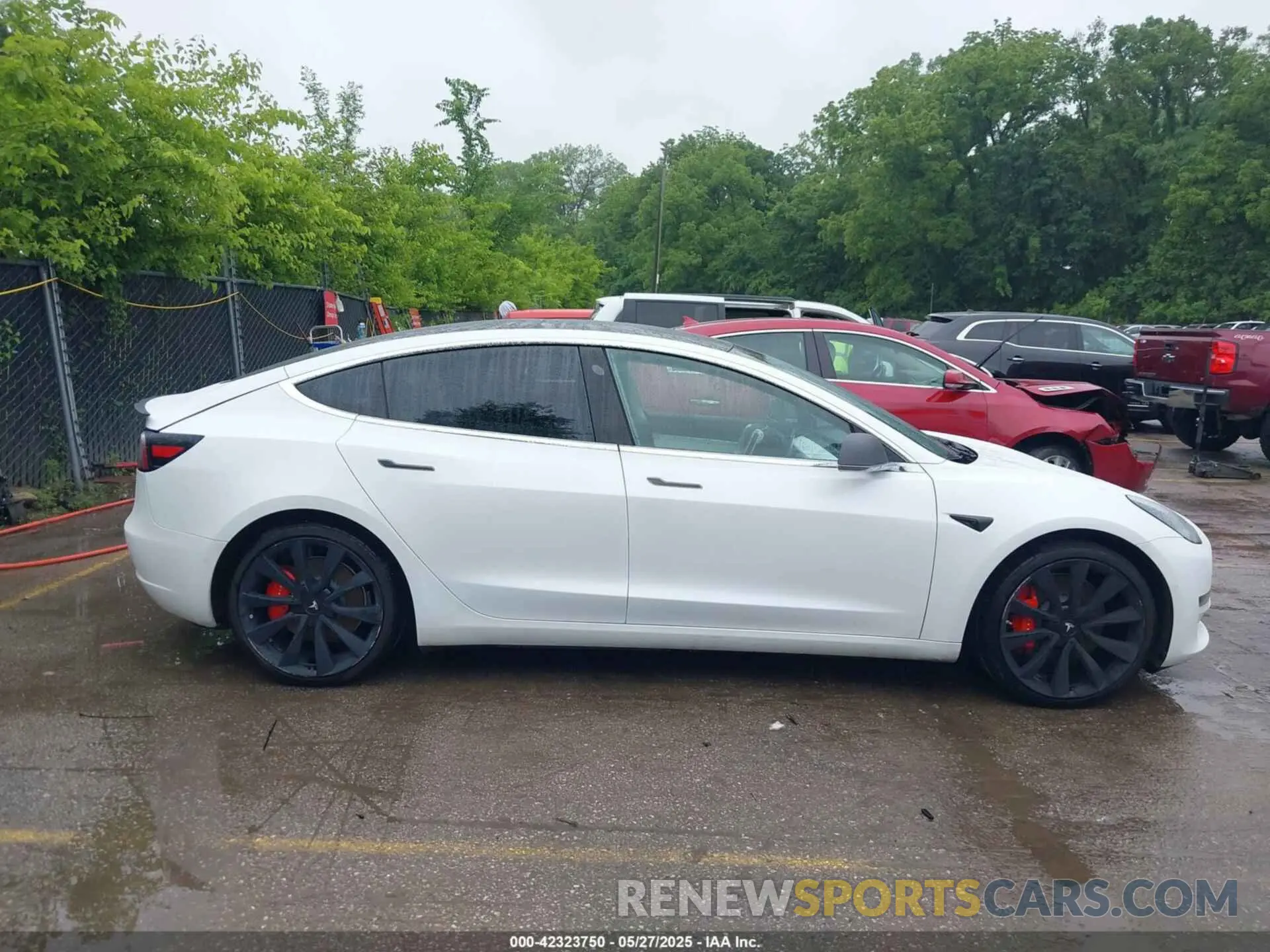 12 Photograph of a damaged car 5YJ3E1EBXKF393427 TESLA MODEL 3 2019
