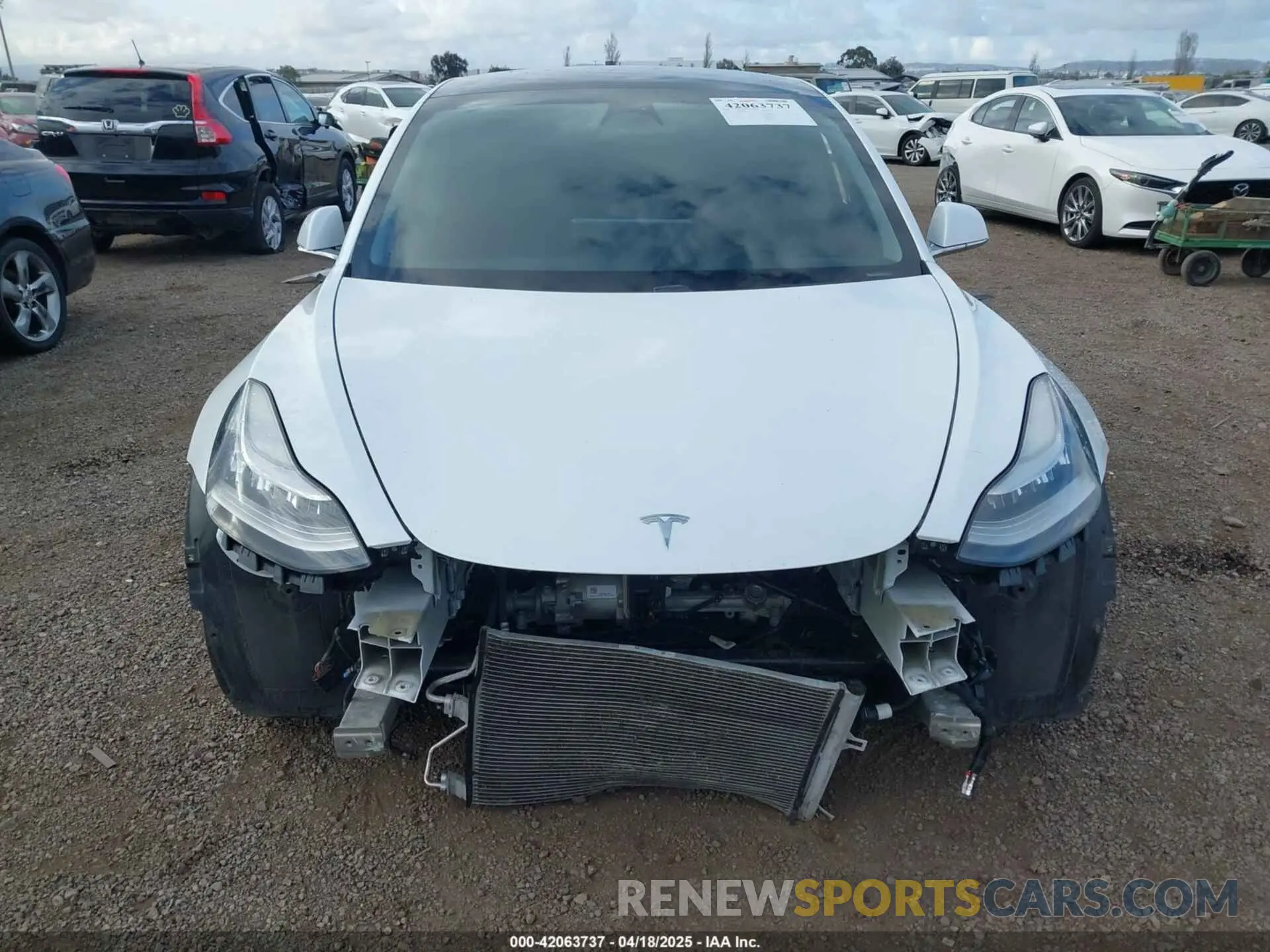 13 Фотография поврежденного автомобиля 5YJ3E1EBXKF512710 TESLA MODEL 3 2019