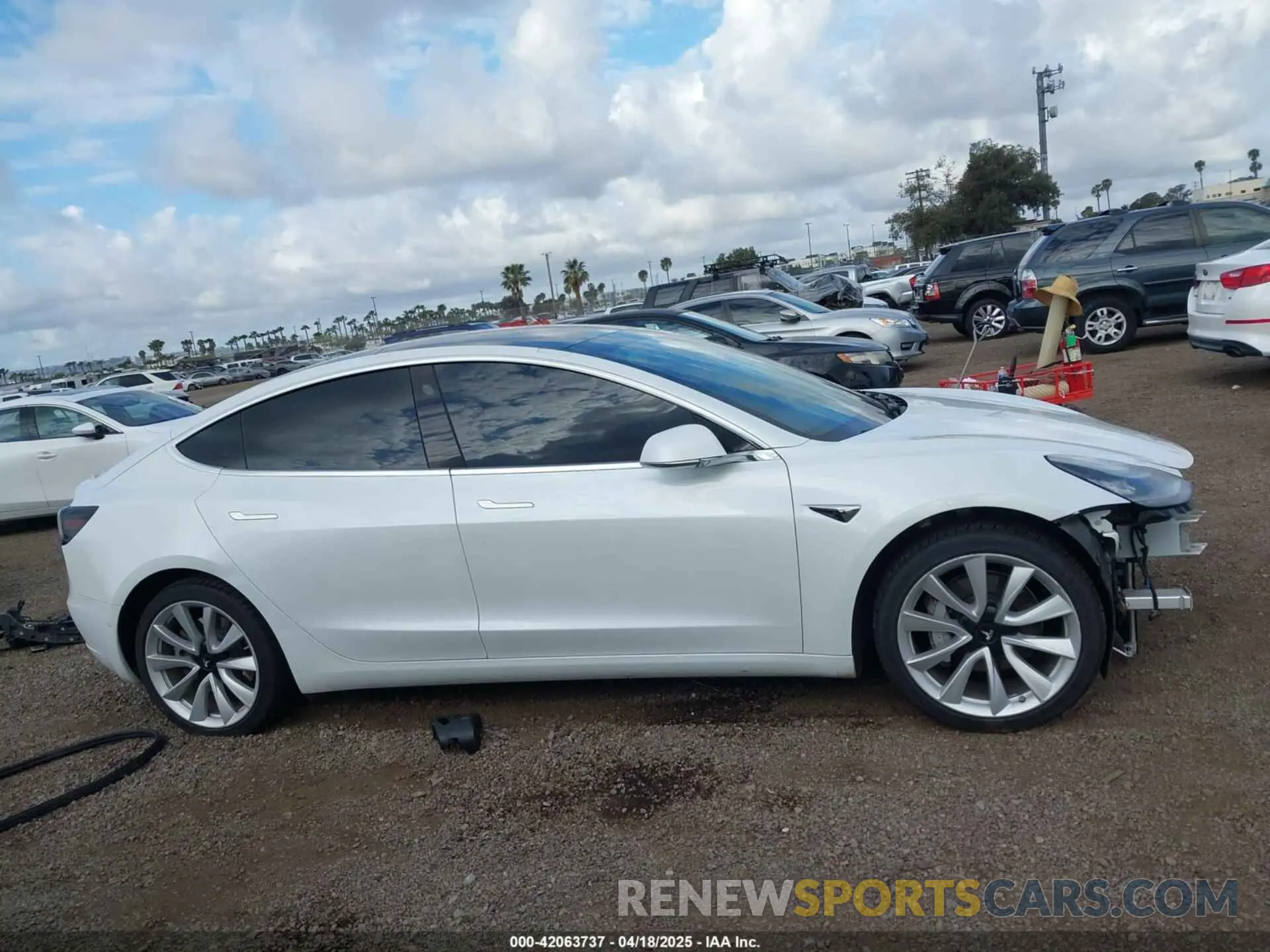 14 Фотография поврежденного автомобиля 5YJ3E1EBXKF512710 TESLA MODEL 3 2019