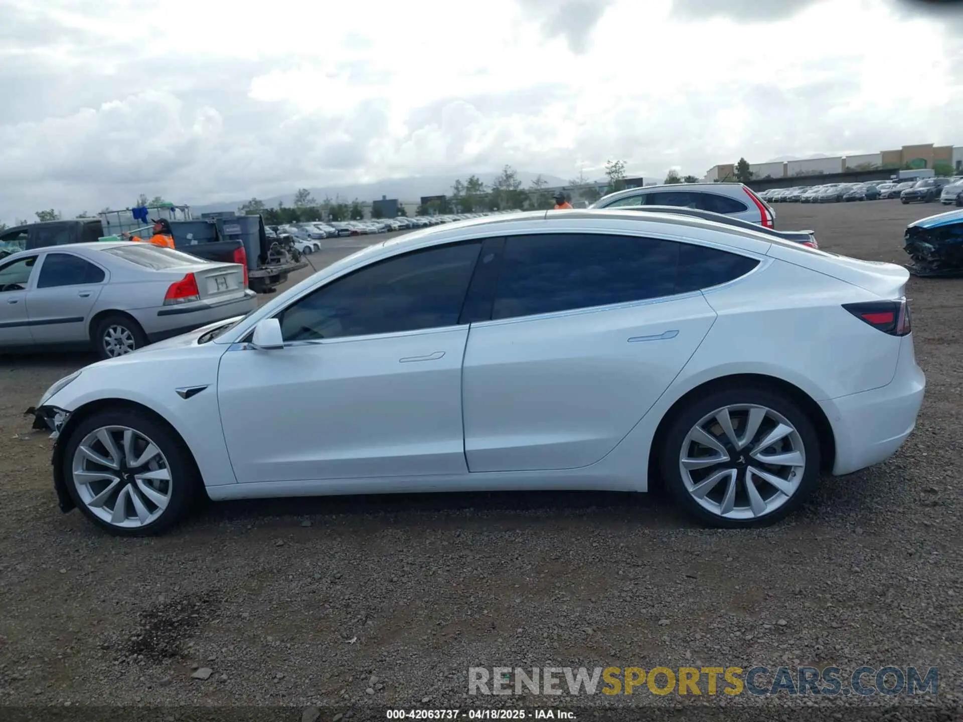 15 Фотография поврежденного автомобиля 5YJ3E1EBXKF512710 TESLA MODEL 3 2019