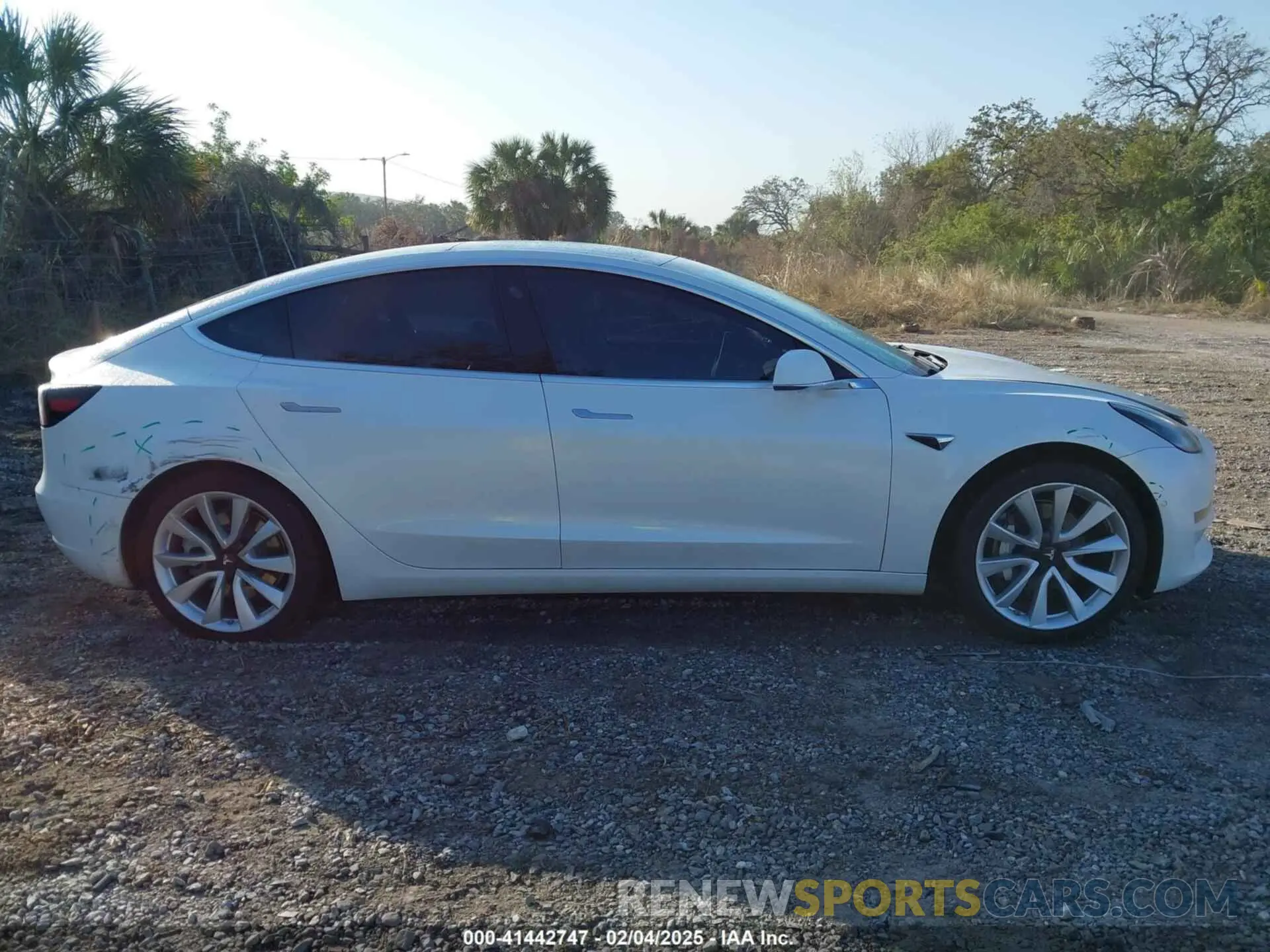 12 Photograph of a damaged car 5YJ3E1EA0LF785681 TESLA MODEL 3 2020