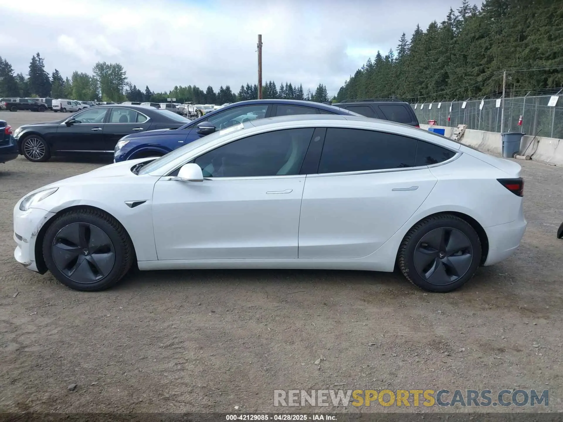 15 Фотография поврежденного автомобиля 5YJ3E1EA5LF613002 TESLA MODEL 3 2020