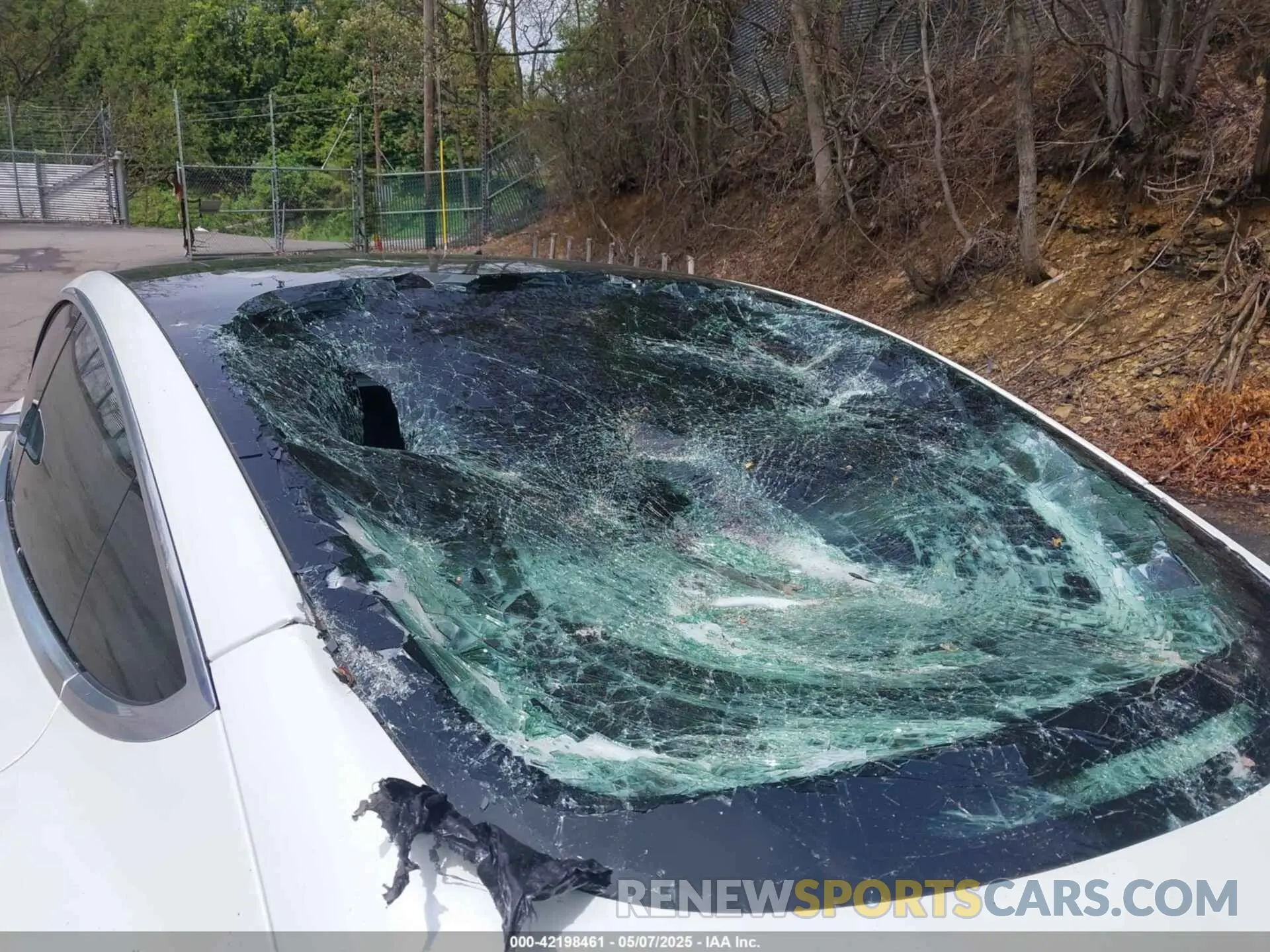 6 Фотография поврежденного автомобиля 5YJ3E1EB0LF712545 TESLA MODEL 3 2020