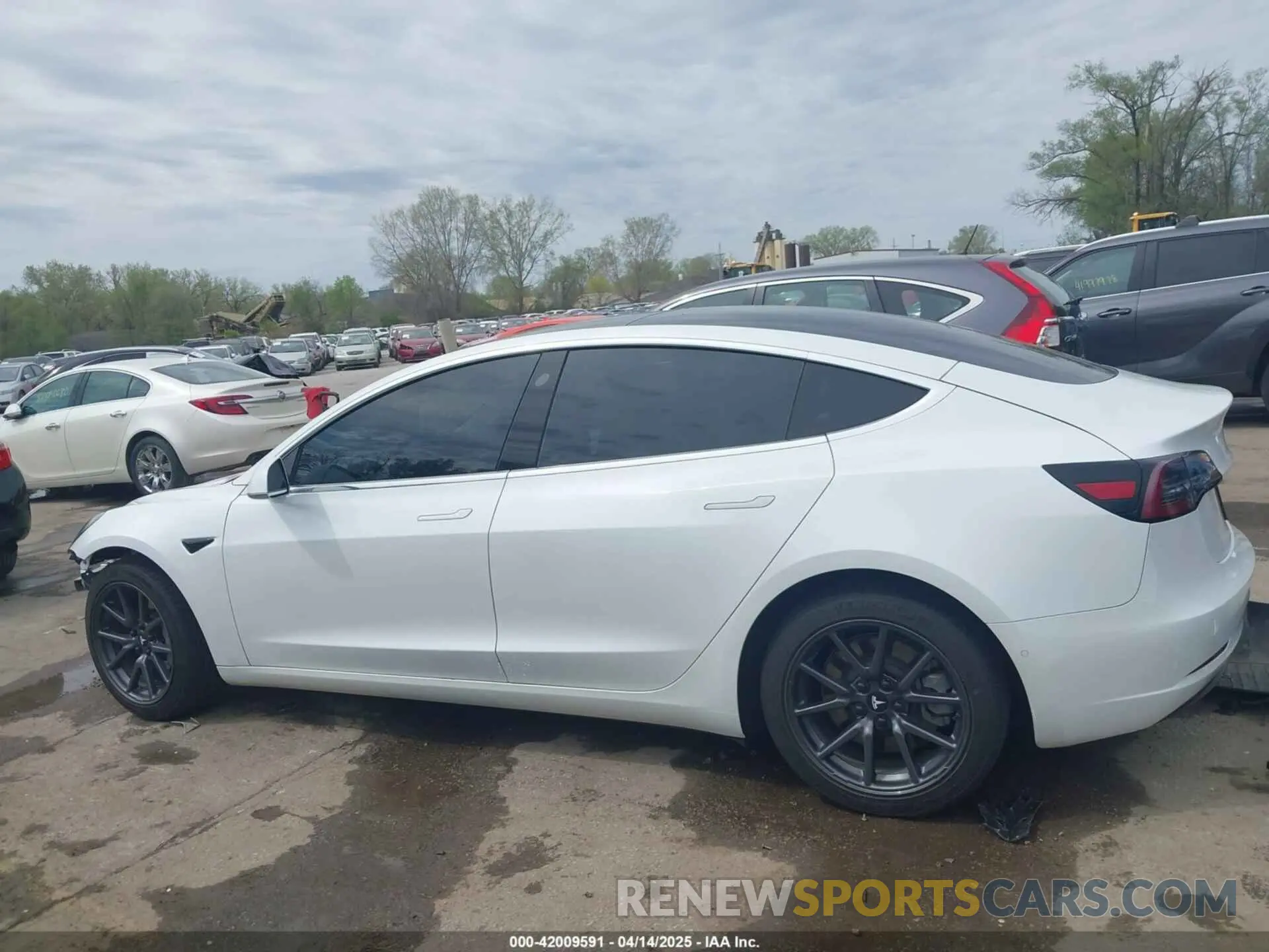 15 Photograph of a damaged car 5YJ3E1EB7LF786903 TESLA MODEL 3 2020