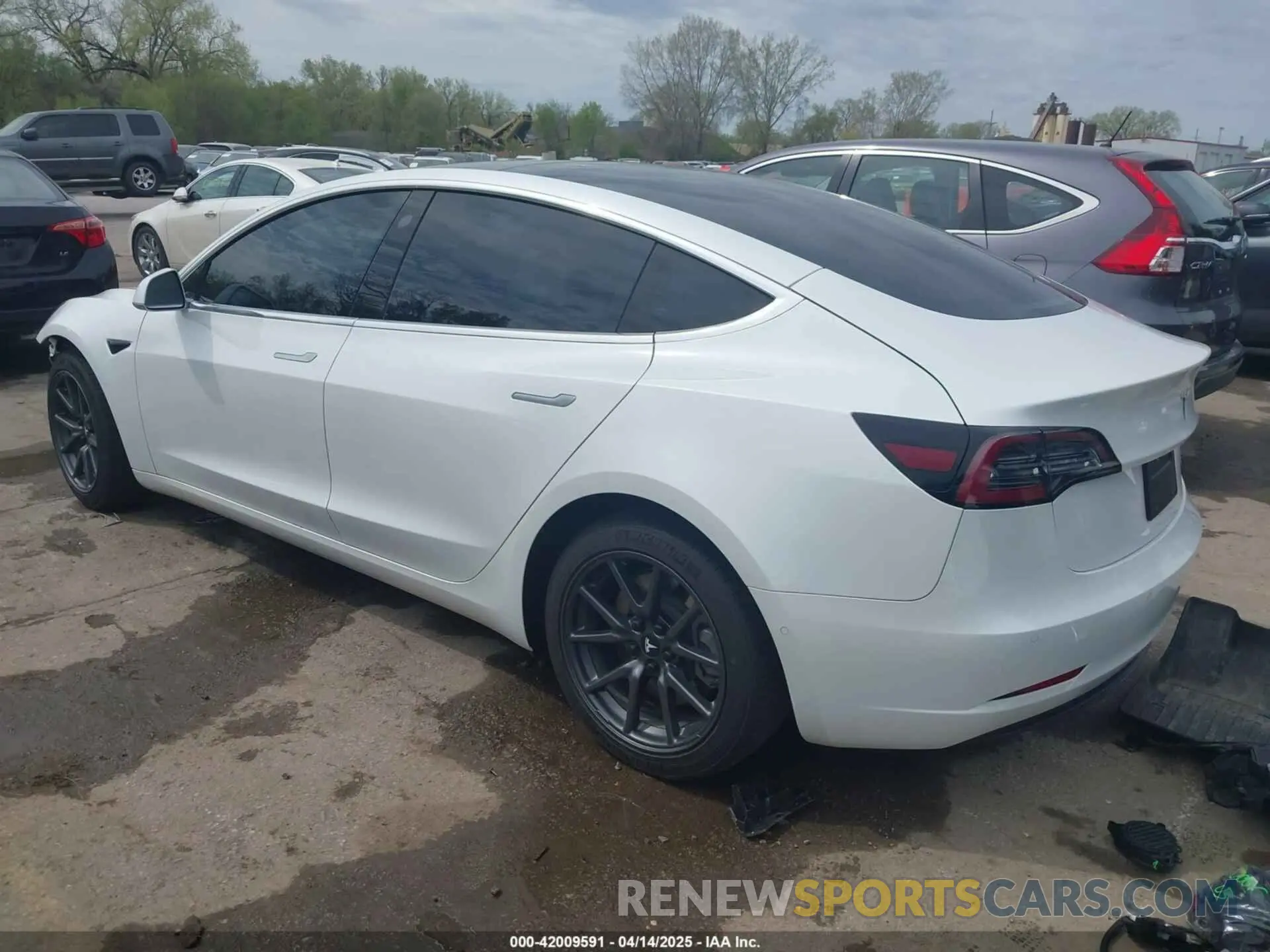3 Photograph of a damaged car 5YJ3E1EB7LF786903 TESLA MODEL 3 2020