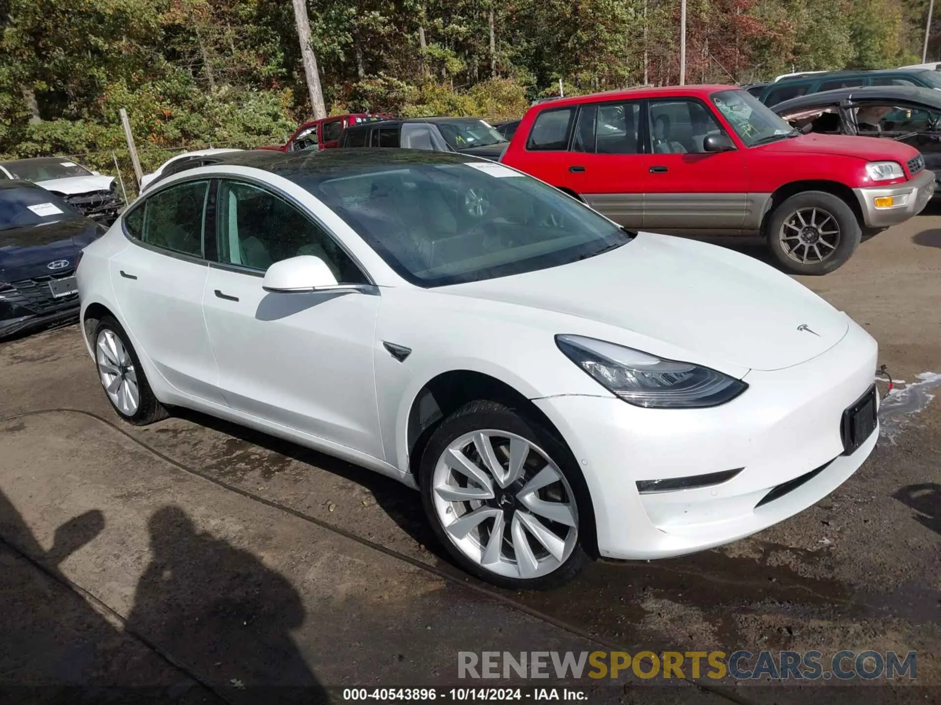 1 Фотография поврежденного автомобиля 5YJ3E1EB9LF621015 TESLA MODEL 3 2020