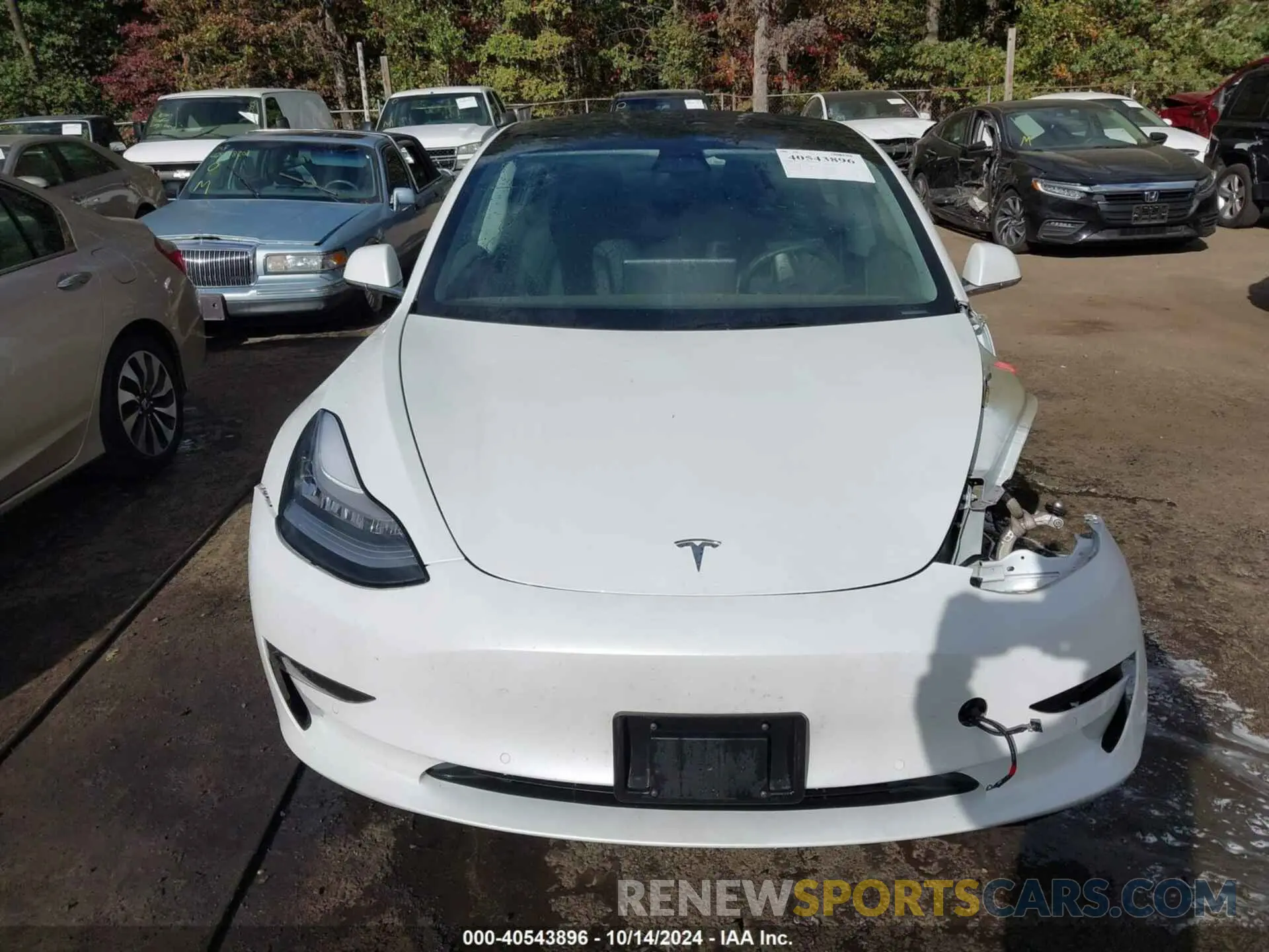 13 Фотография поврежденного автомобиля 5YJ3E1EB9LF621015 TESLA MODEL 3 2020